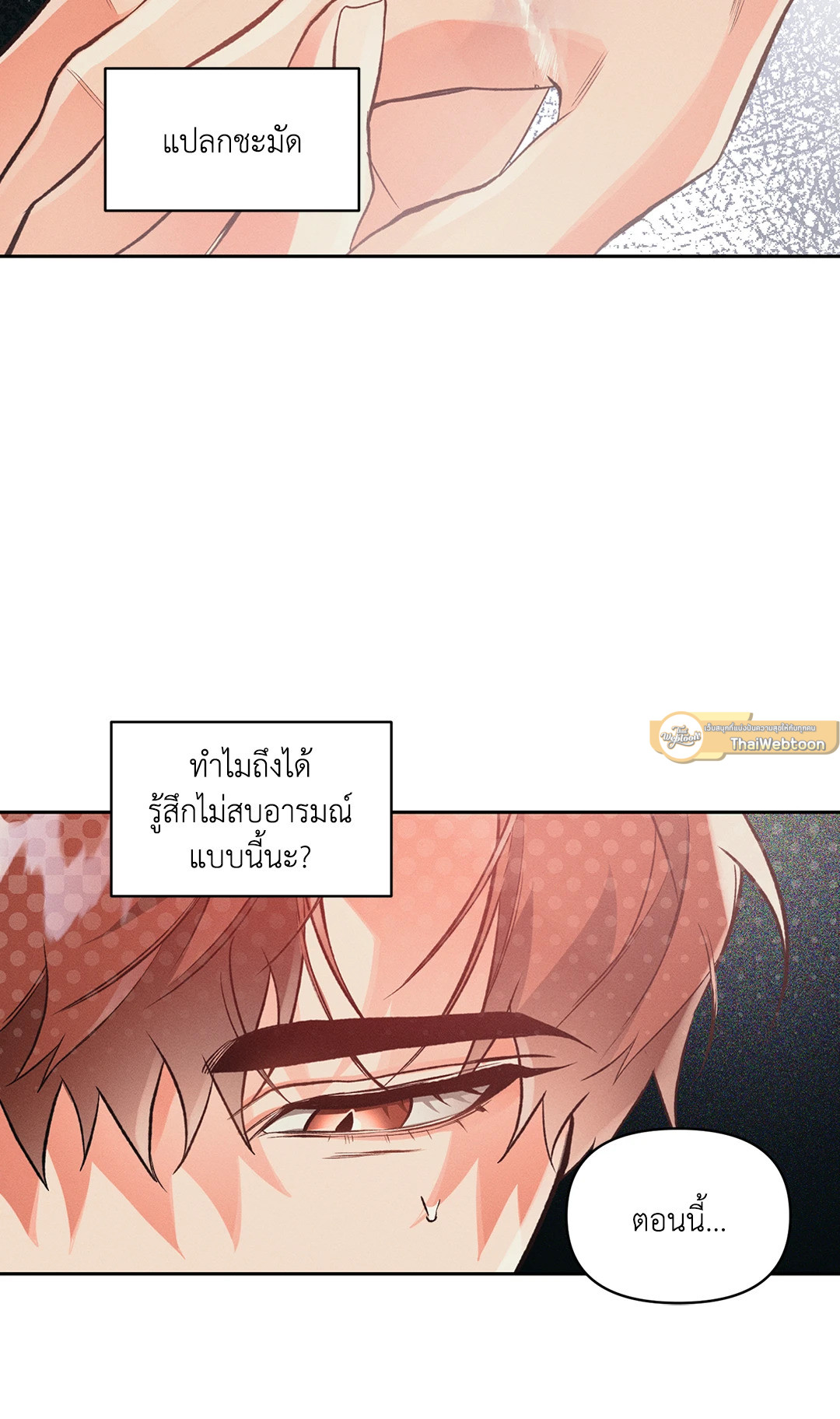 หน้า 37