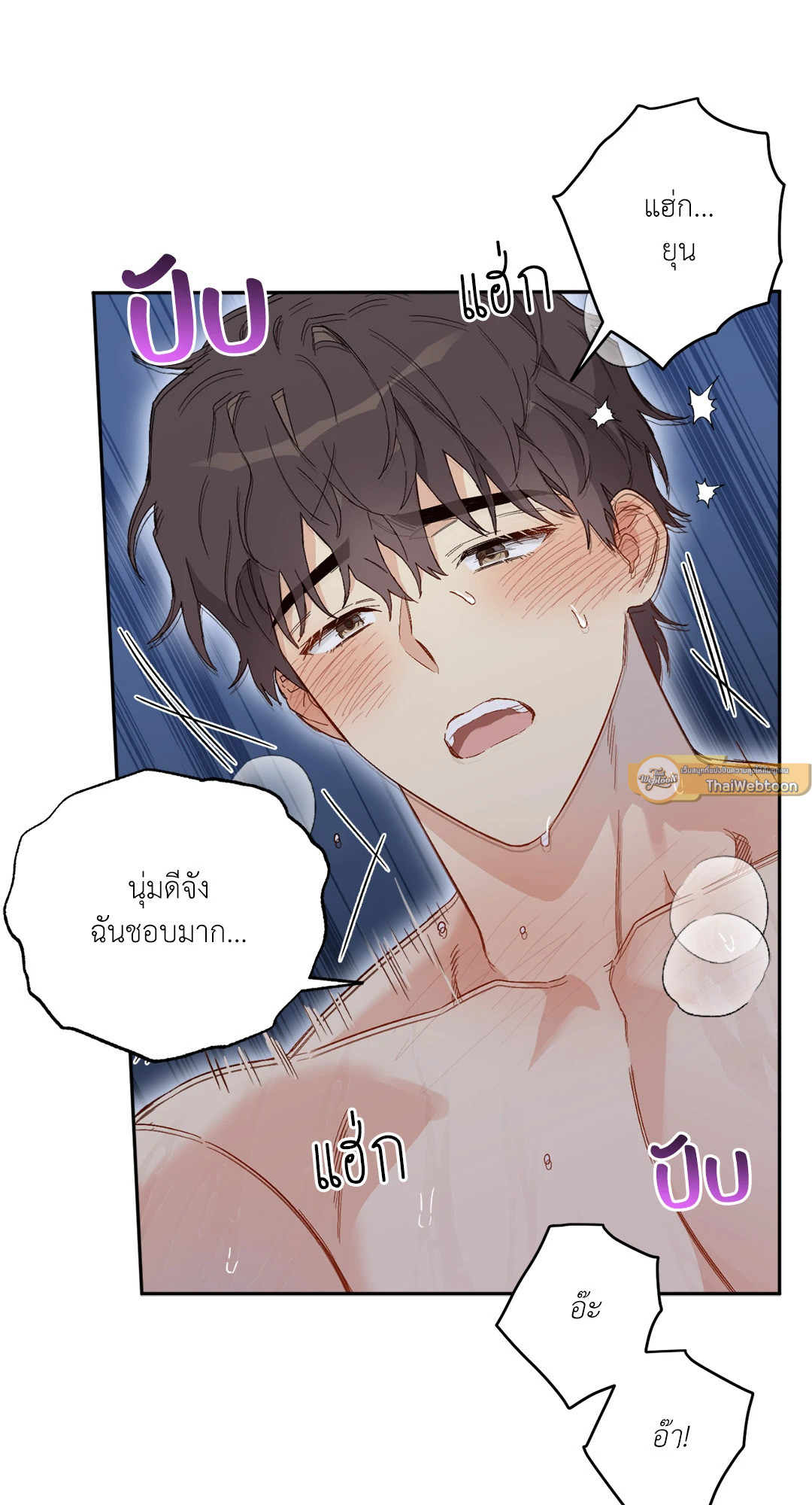 หน้า 30