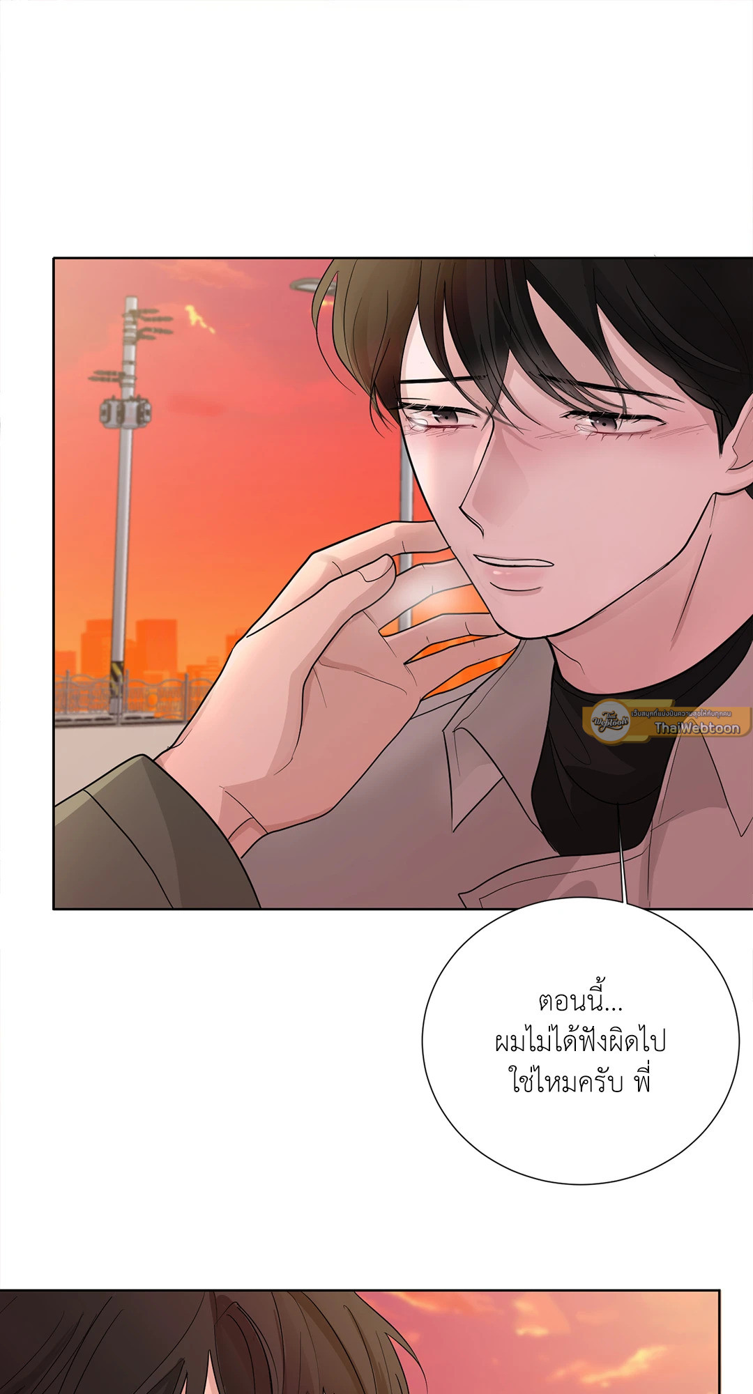 หน้า 30