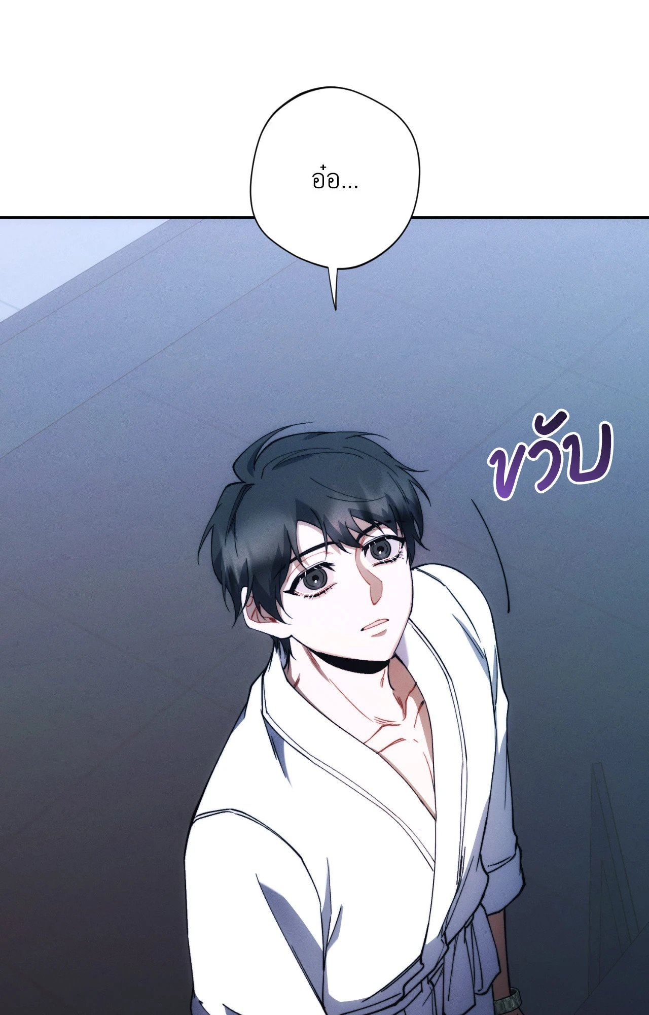หน้า 43