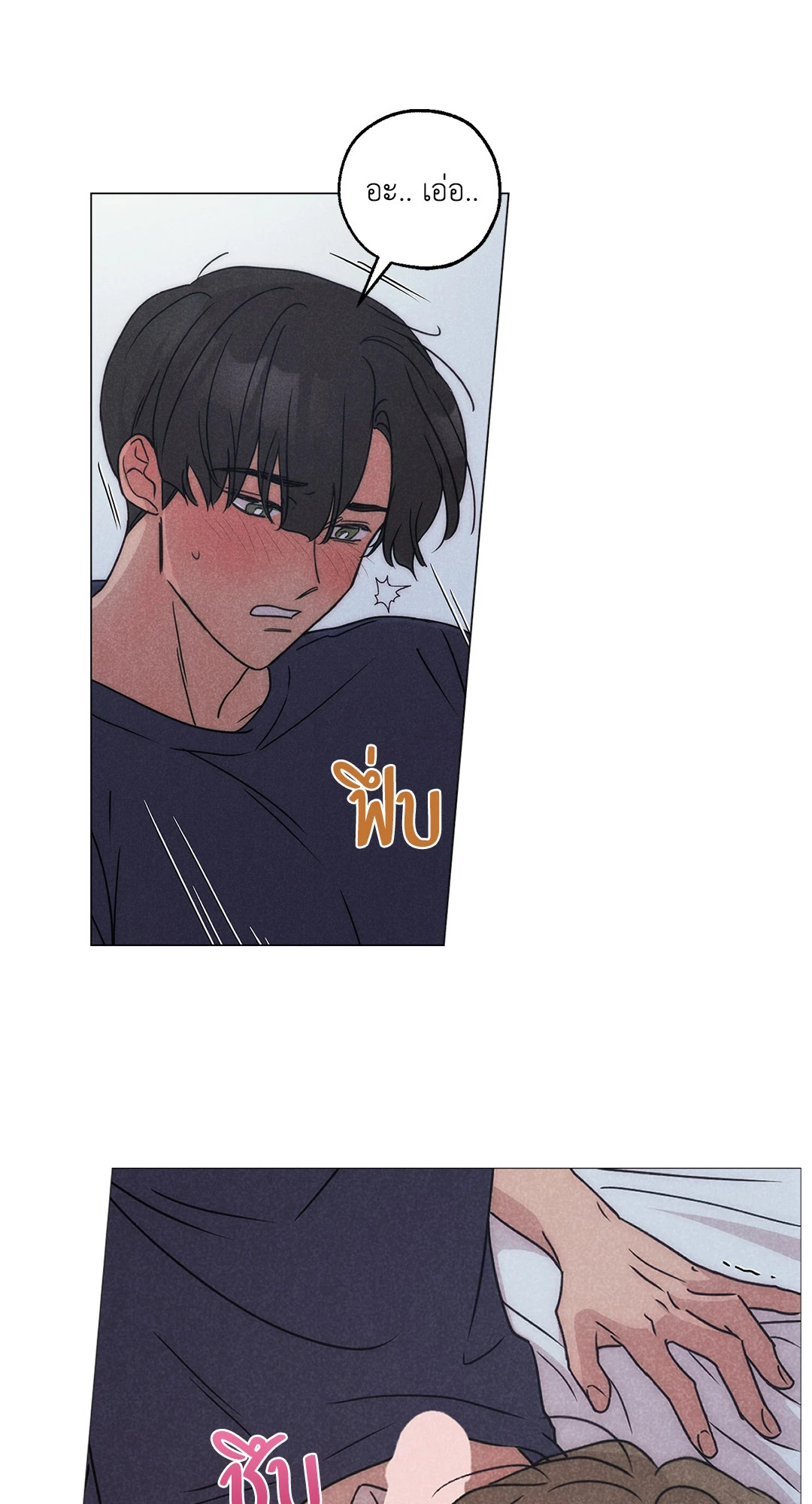 หน้า 29