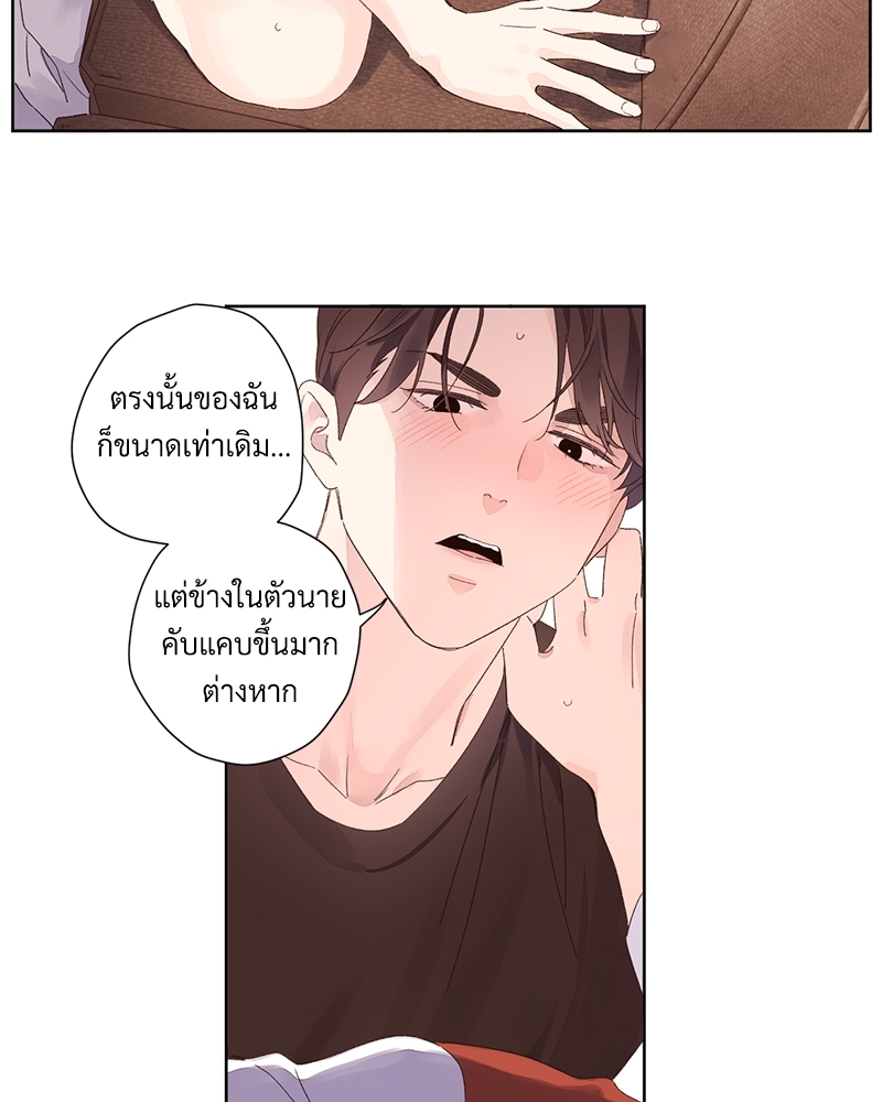 หน้า 43