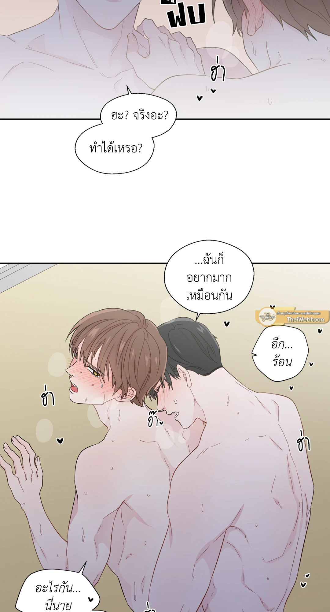 หน้า 29