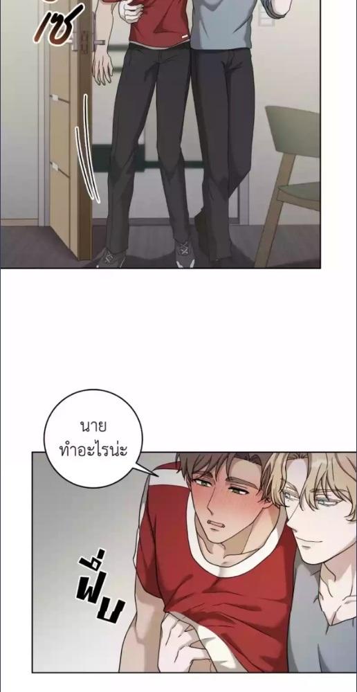 หน้า 43
