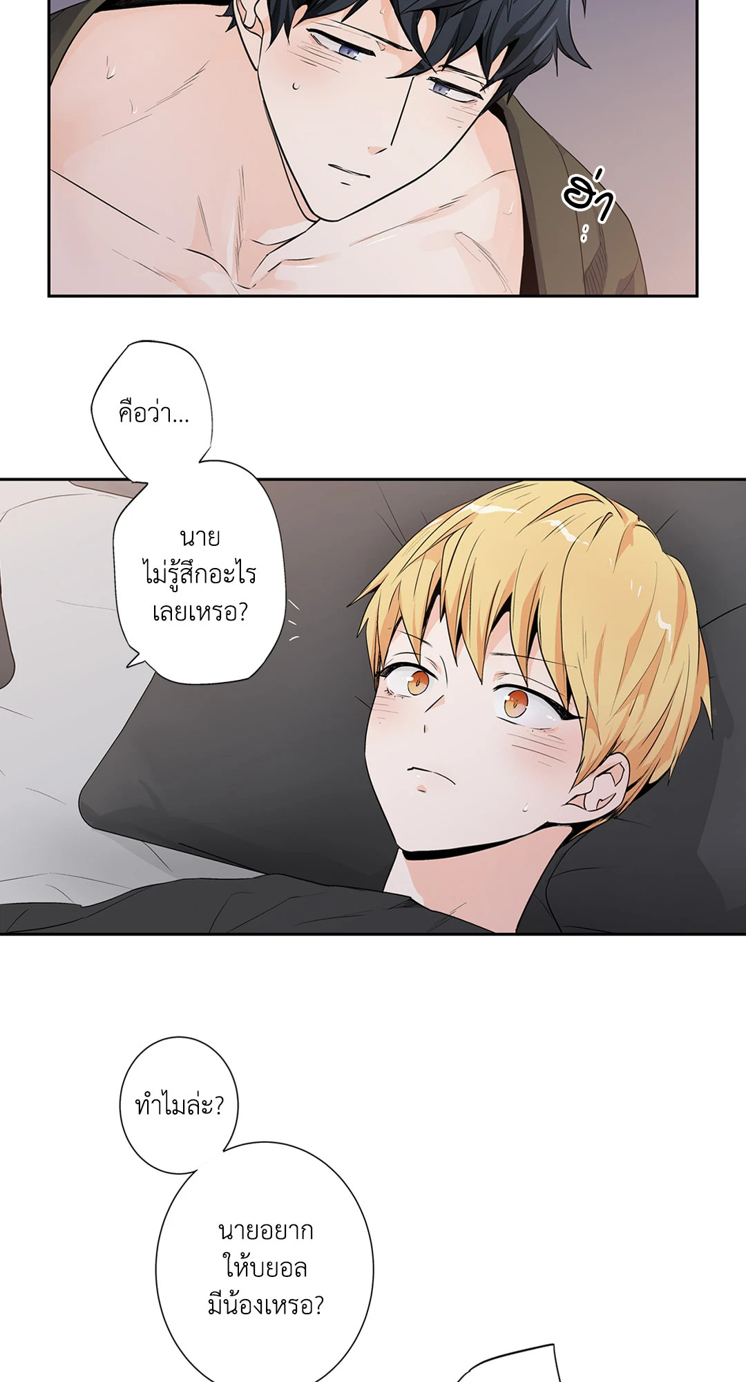 หน้า 29