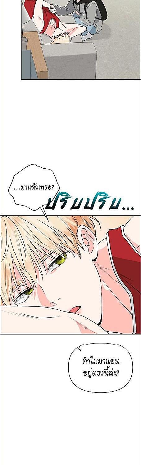 หน้า 40