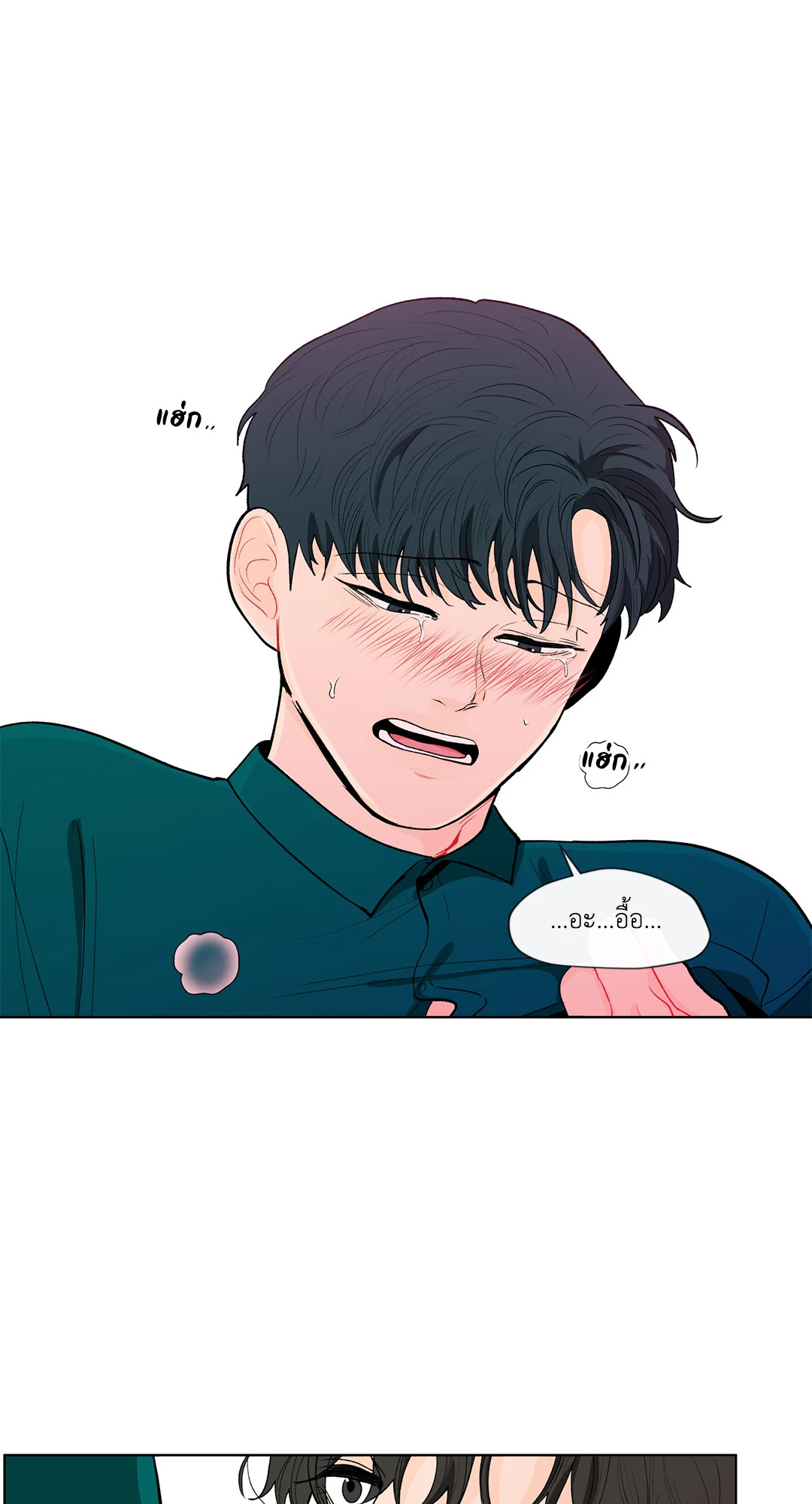 หน้า 29