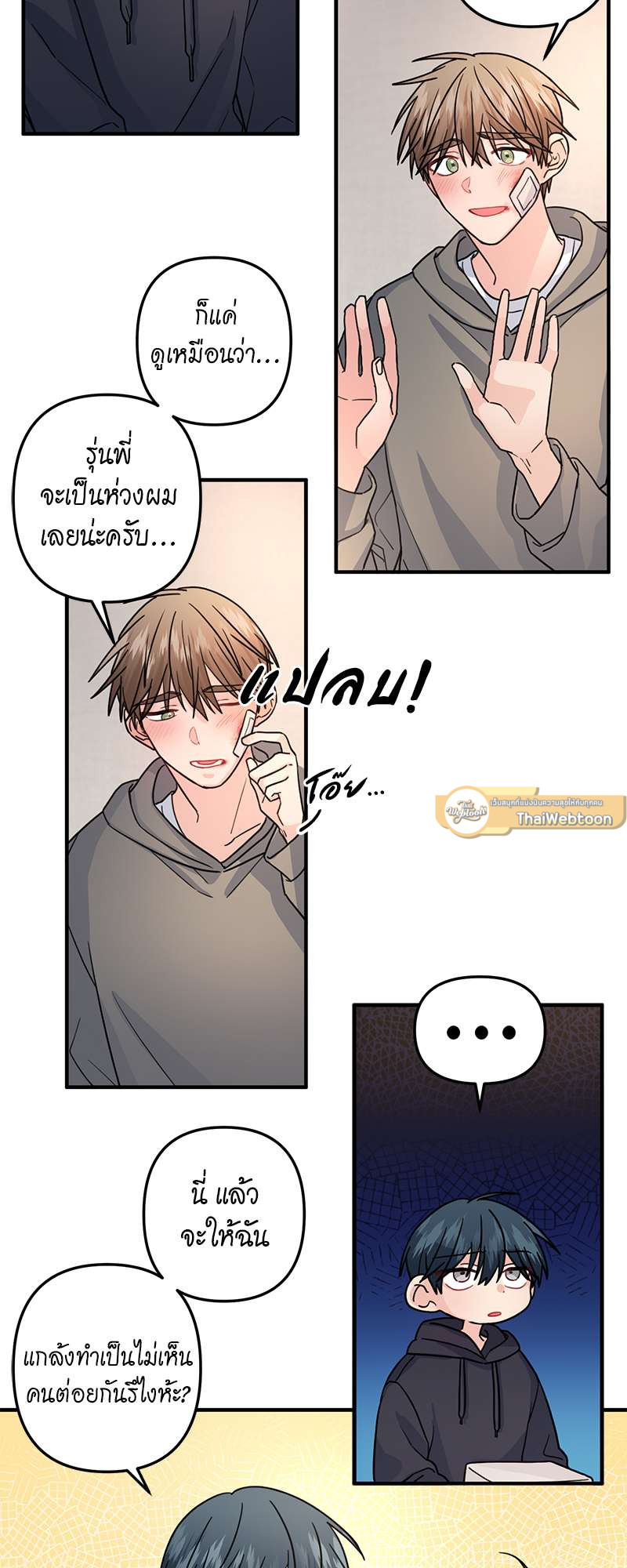 หน้า 13