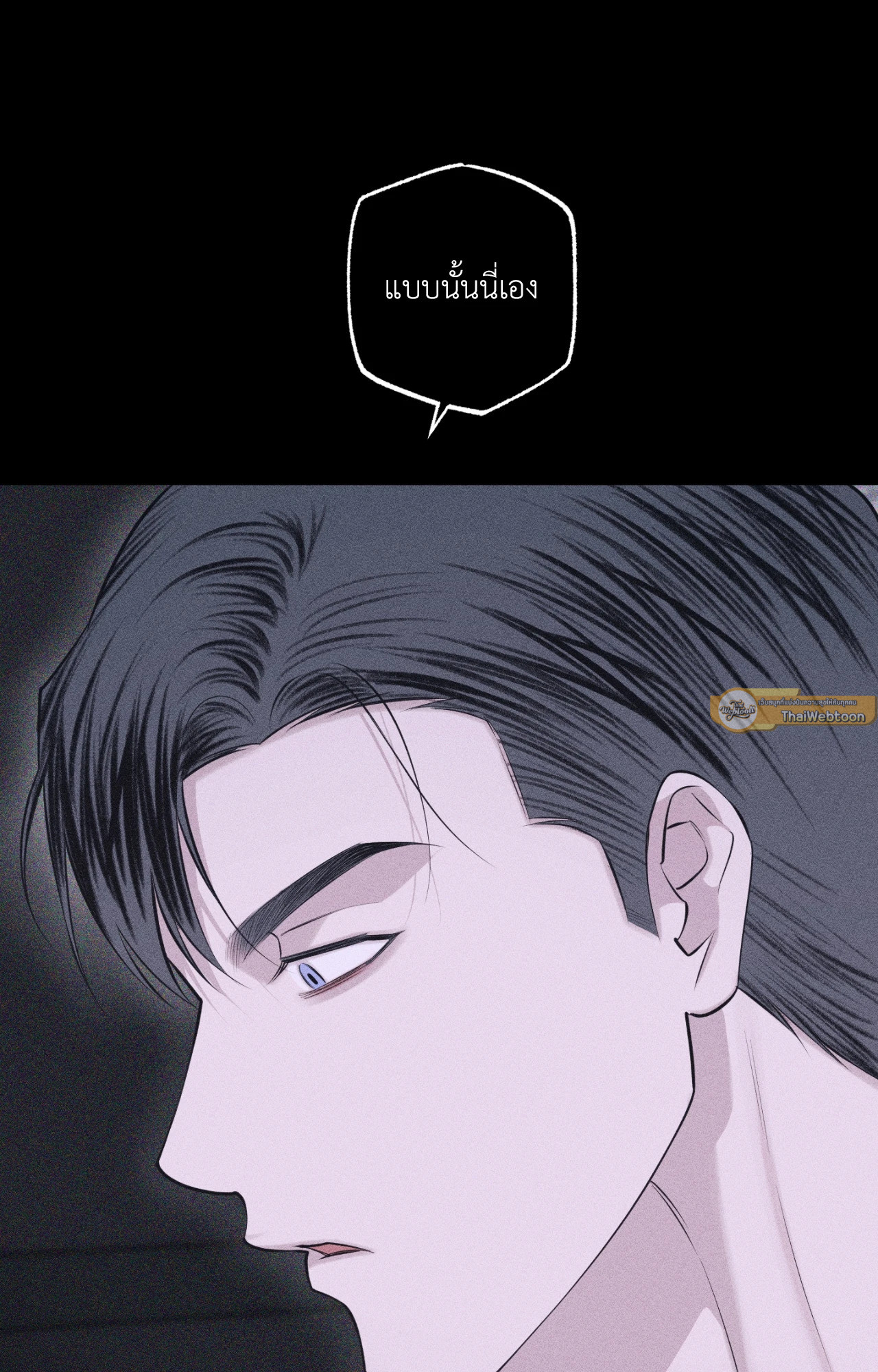 หน้า 102