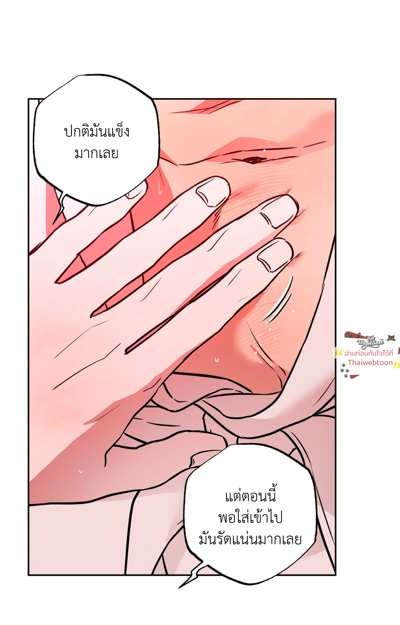 หน้า 62
