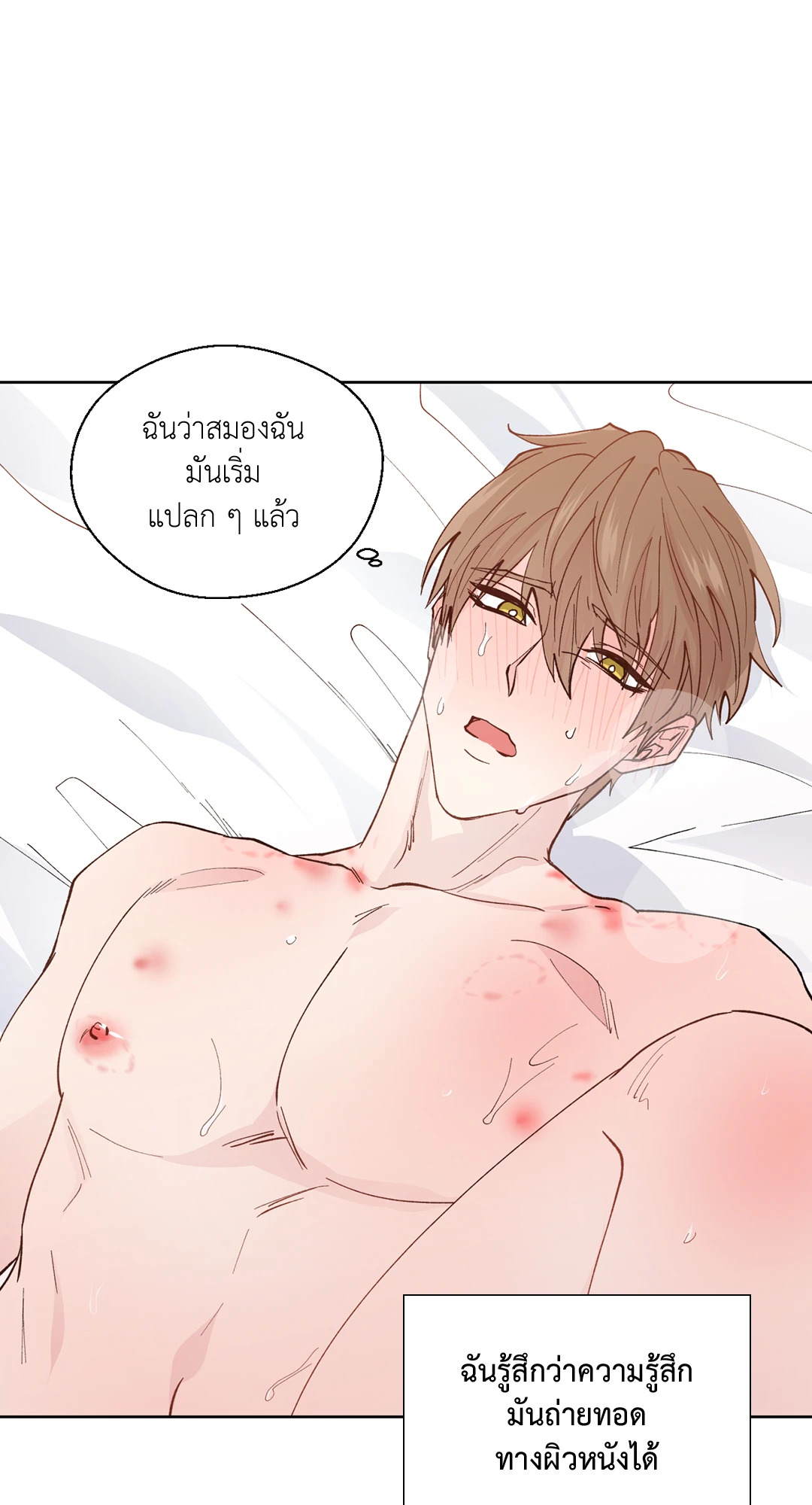 หน้า 53
