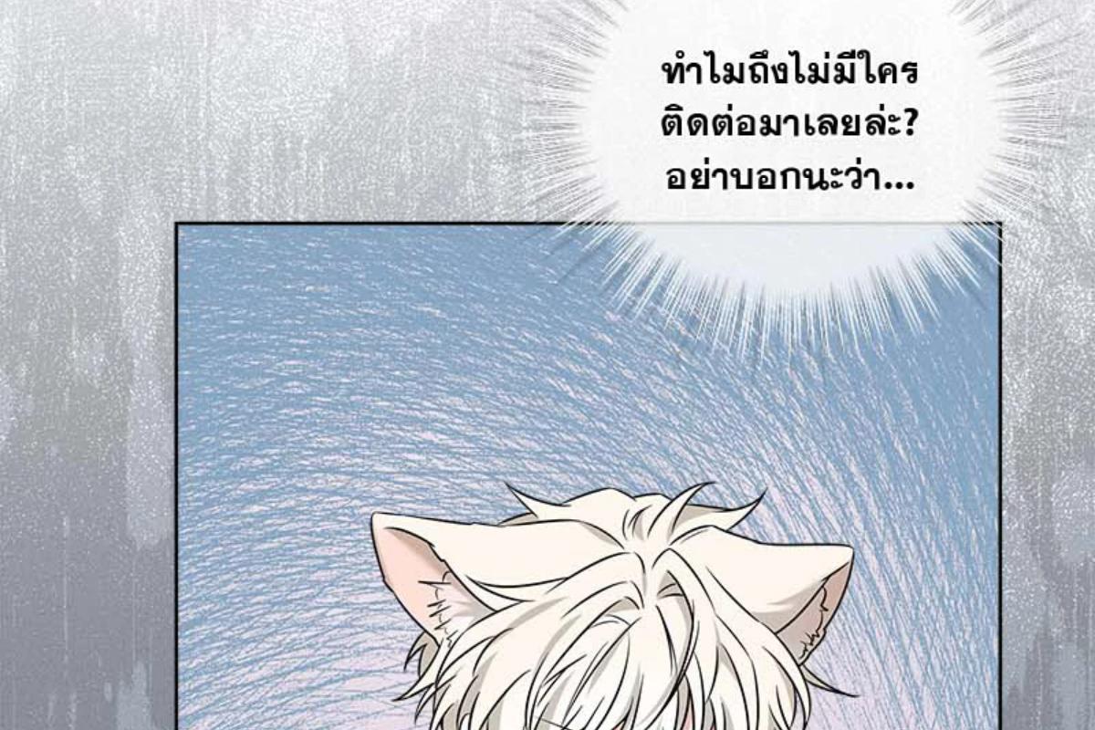 หน้า 115