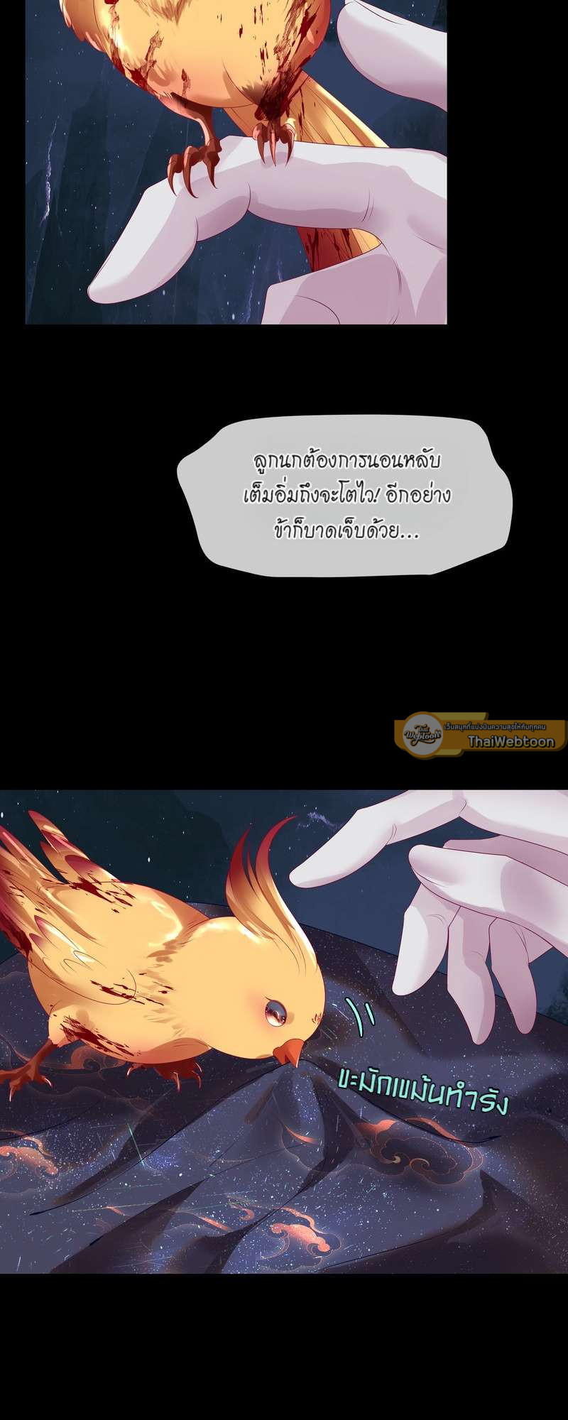 หน้า 17