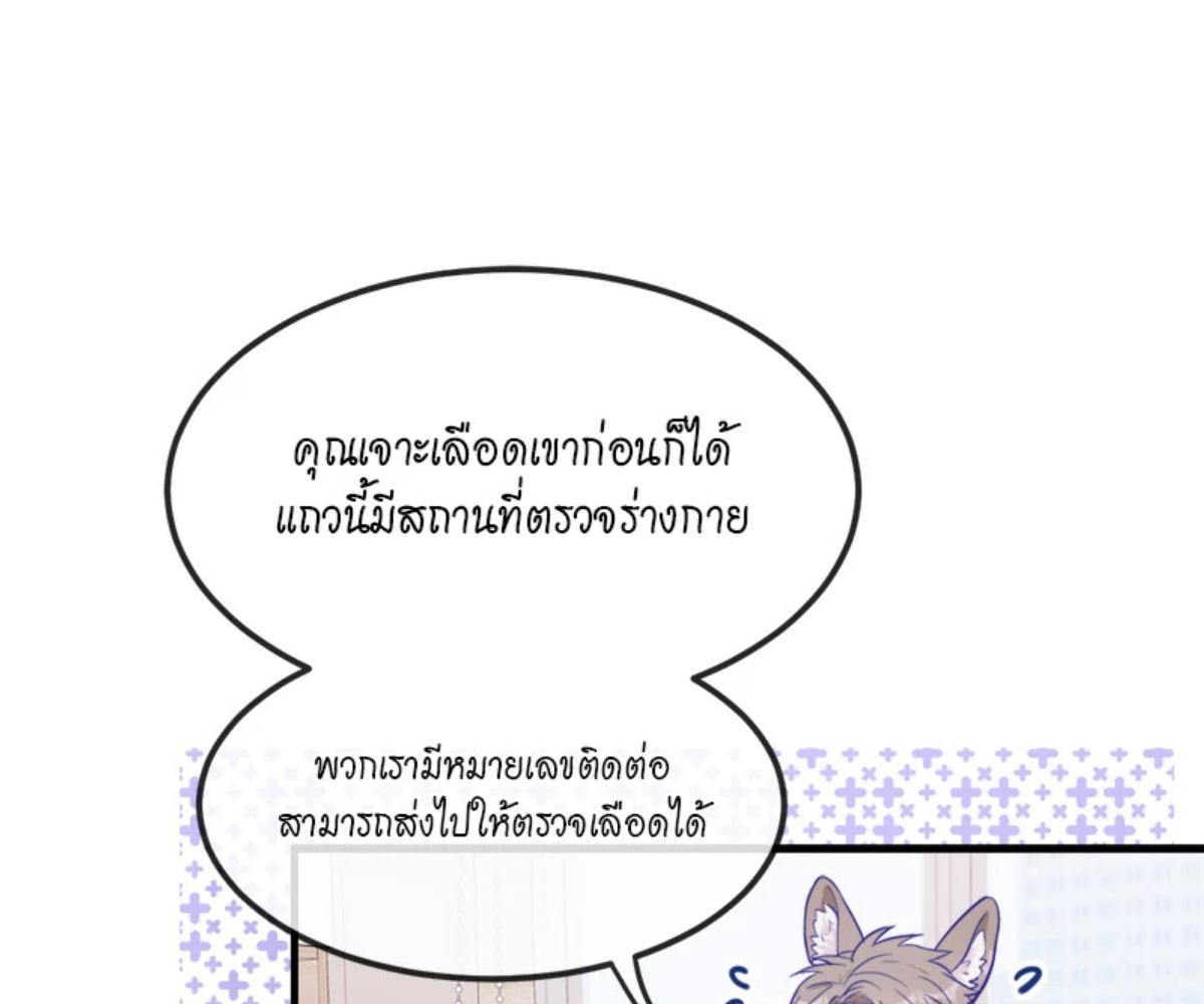 หน้า 117