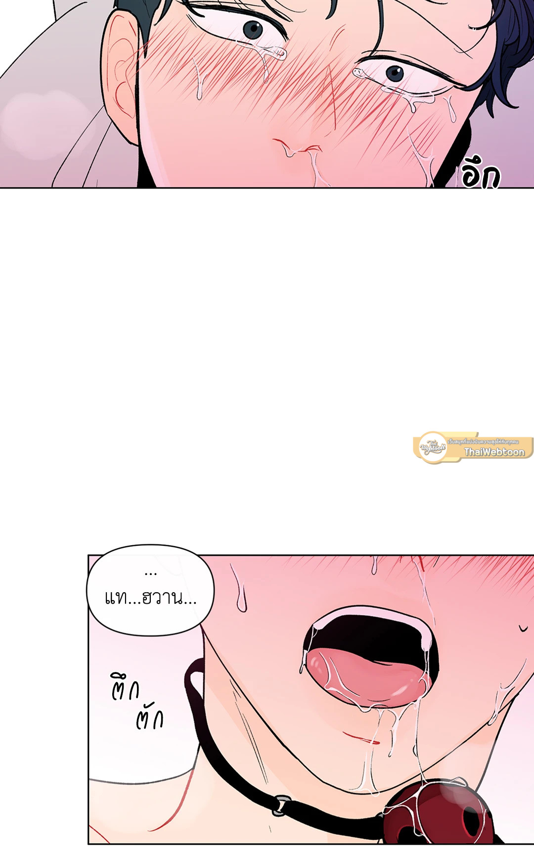 หน้า 53