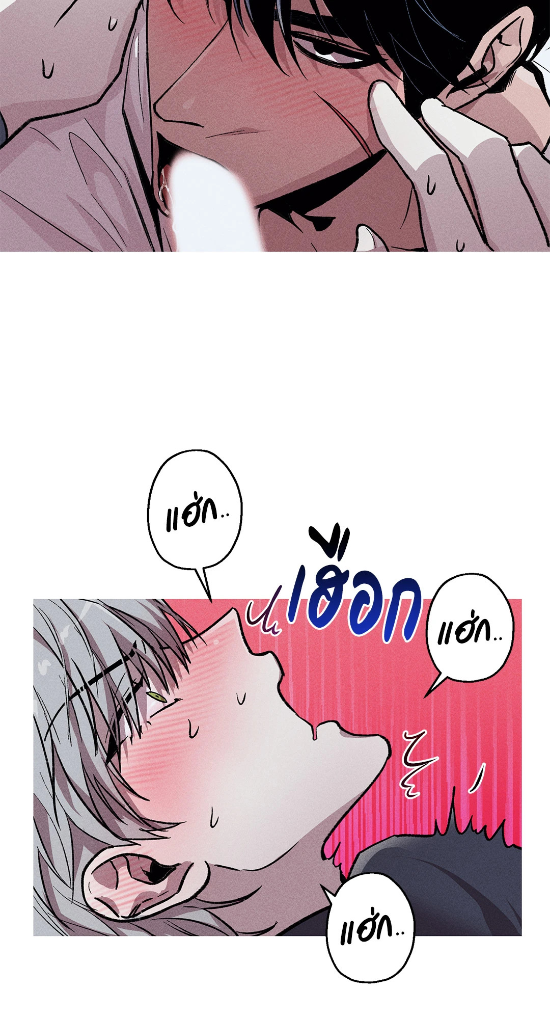 หน้า 31