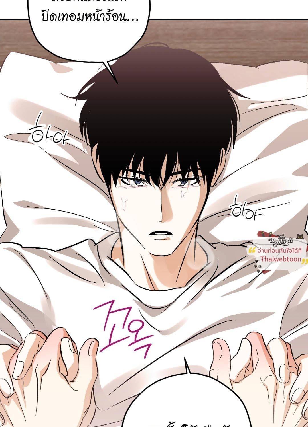 หน้า 29