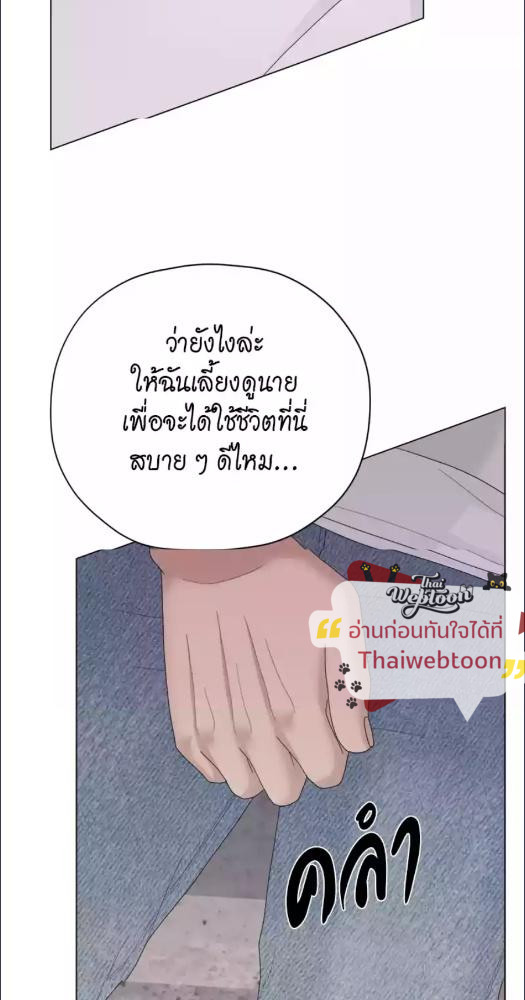 หน้า 97