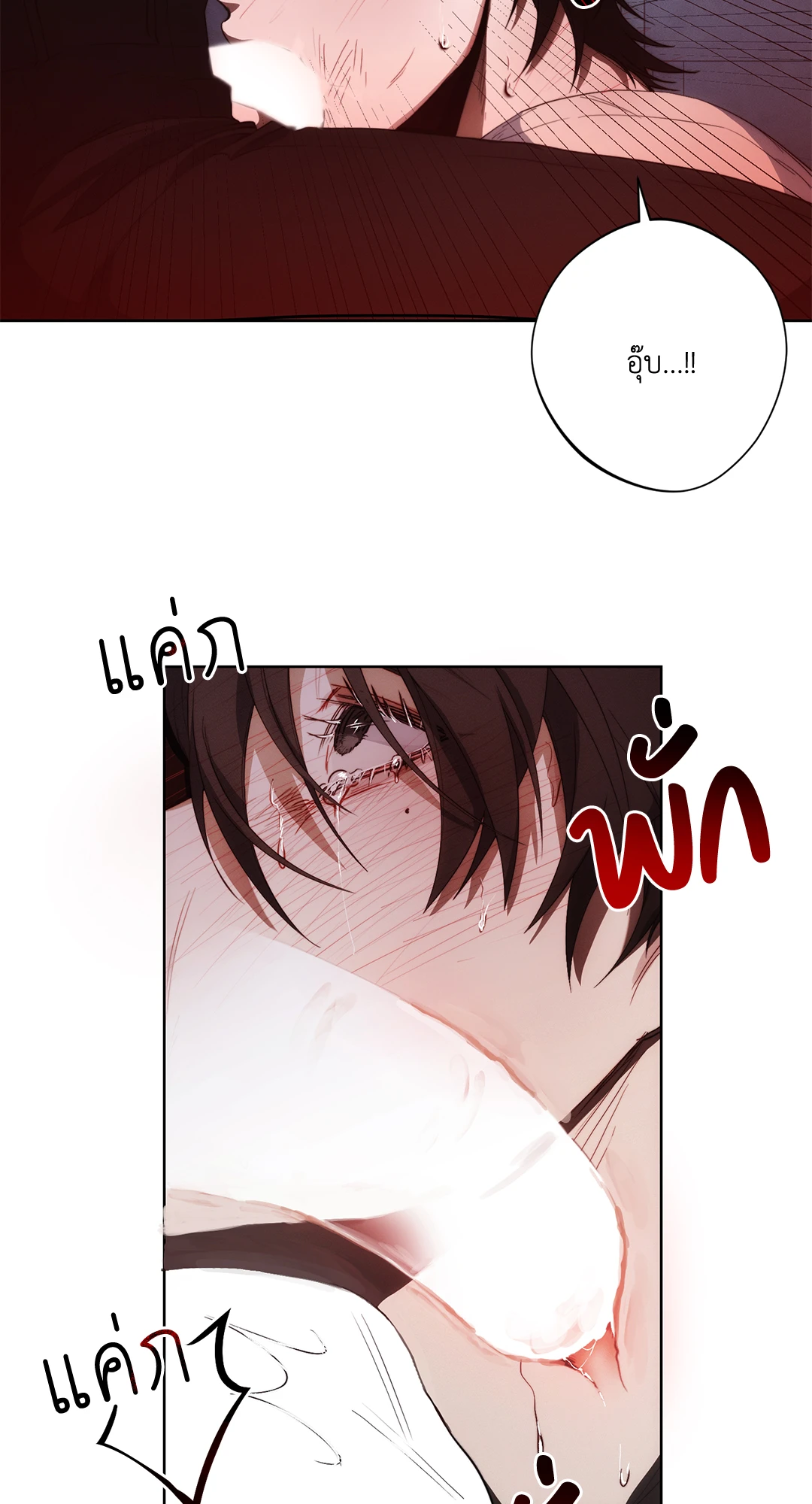 หน้า 41