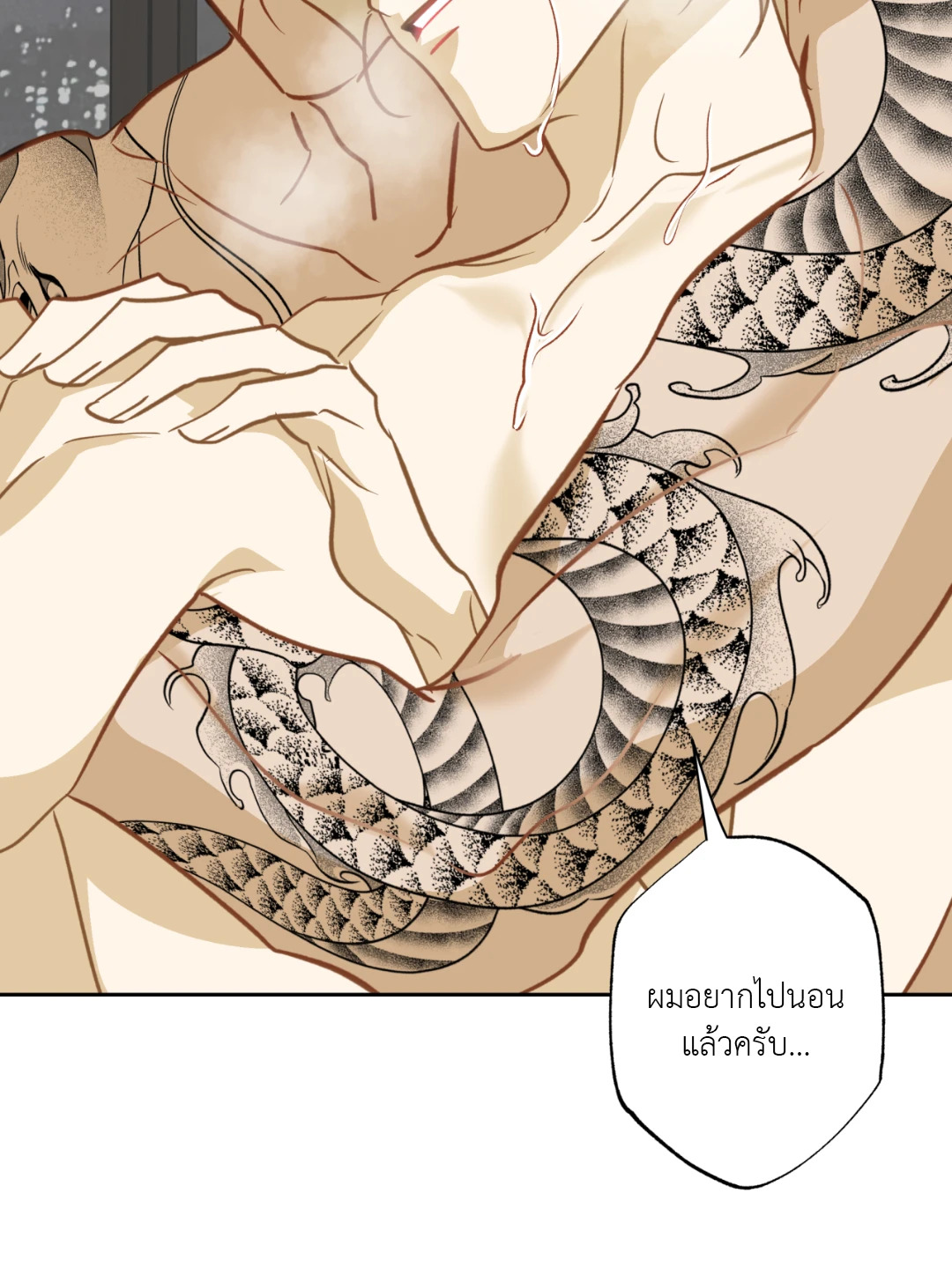 หน้า 45