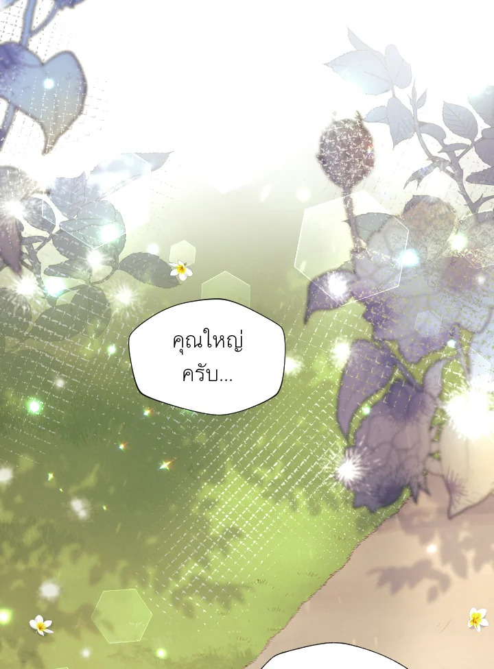หน้า 117