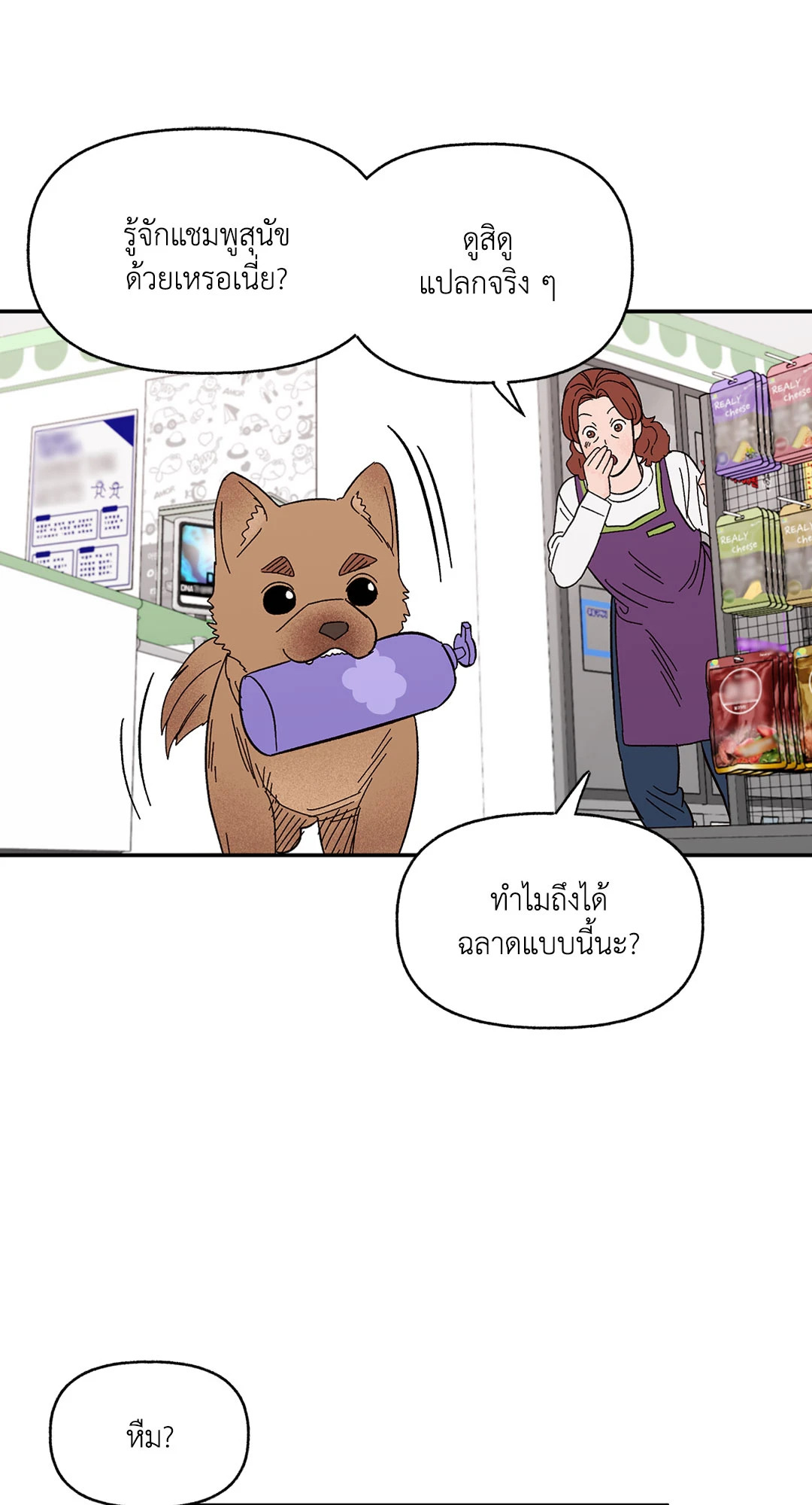 หน้า 17