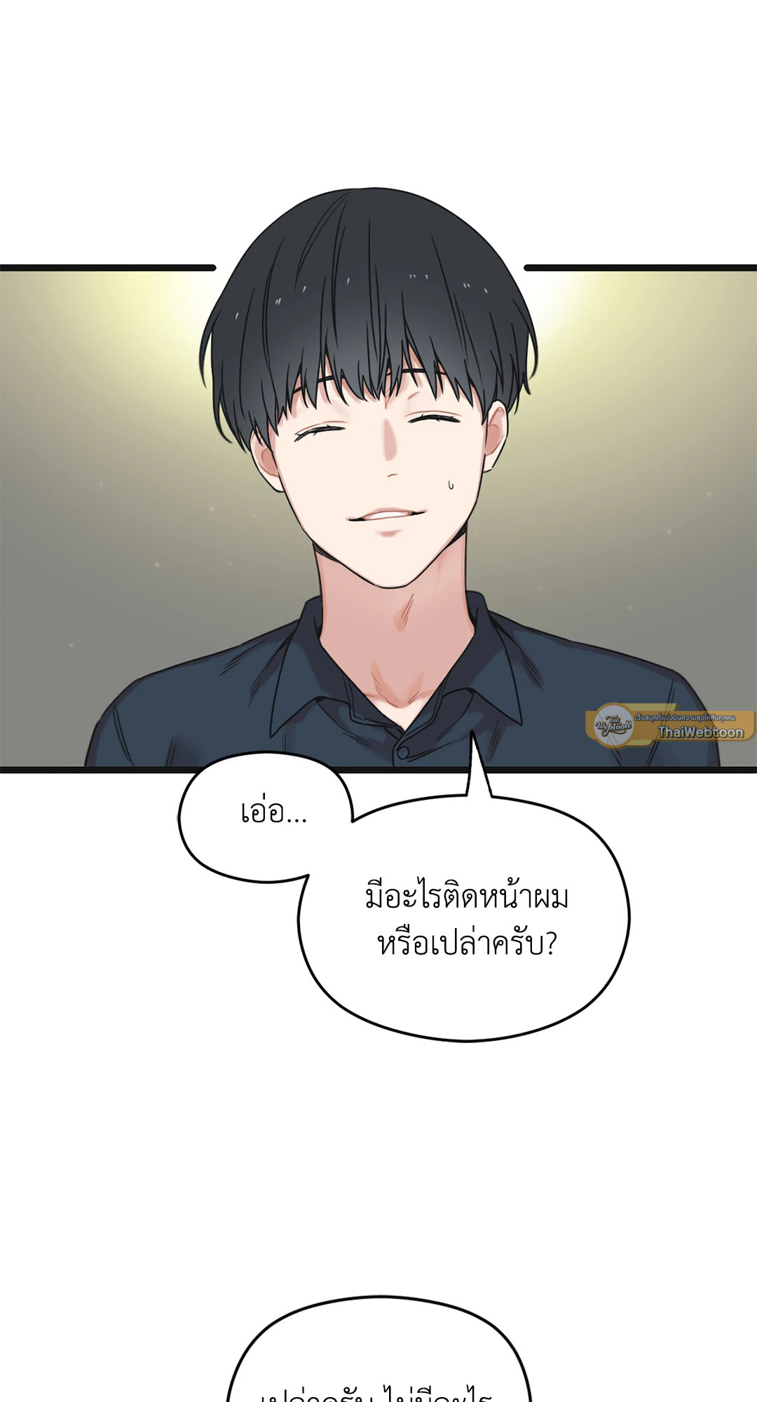 หน้า 33