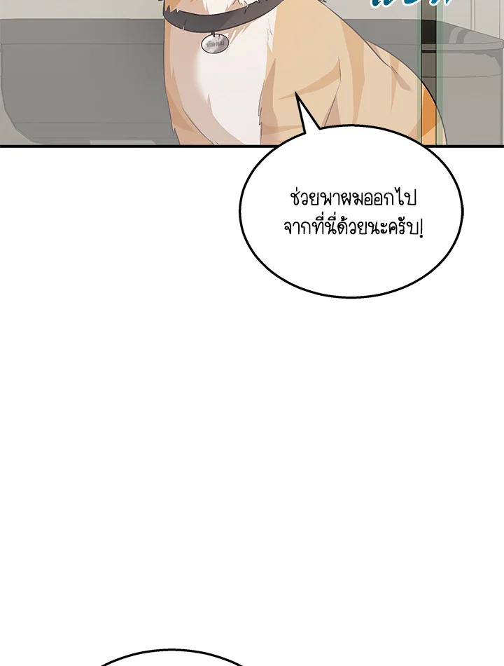 สวัสดีงับ คุณสัตวแพทย์ | Hello! Veterinarian! ตอนที่ 8 - รูปที่ 2