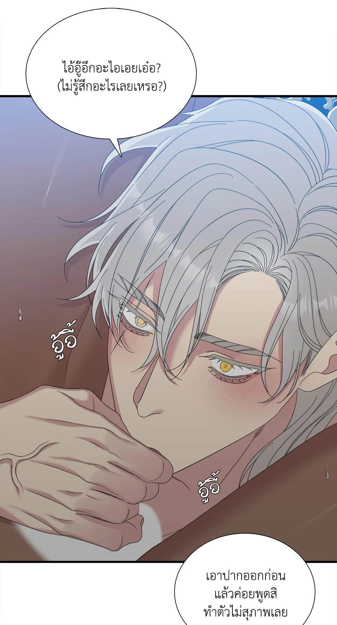 หน้า 41