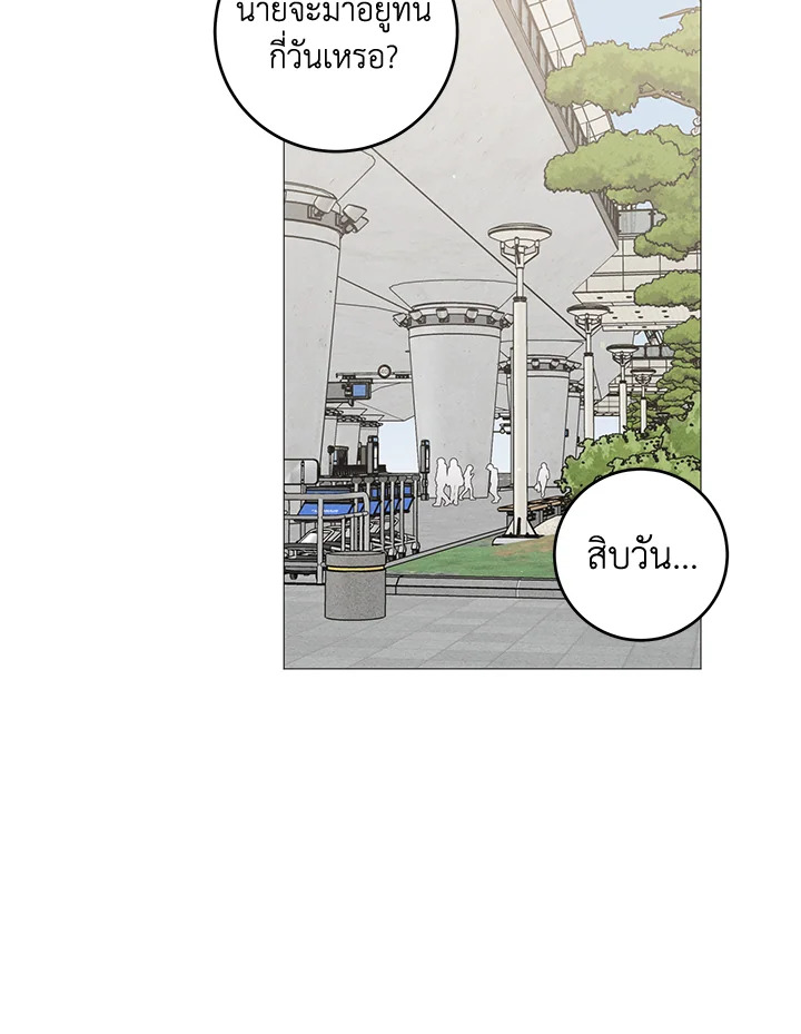 หน้า 81