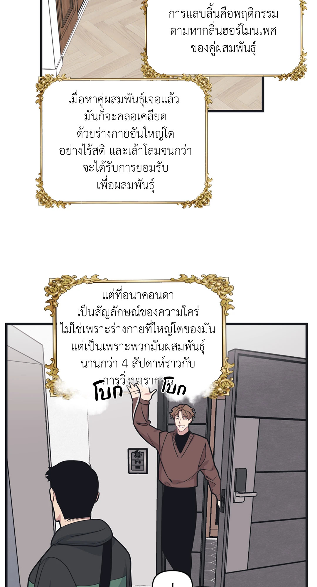 หน้า 5