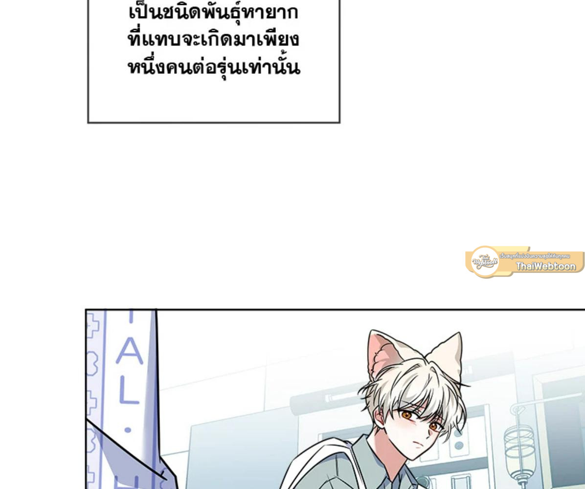 หน้า 137