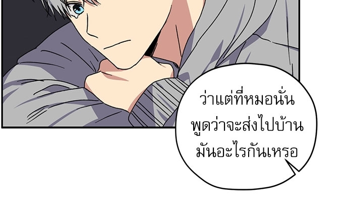 หน้า 50