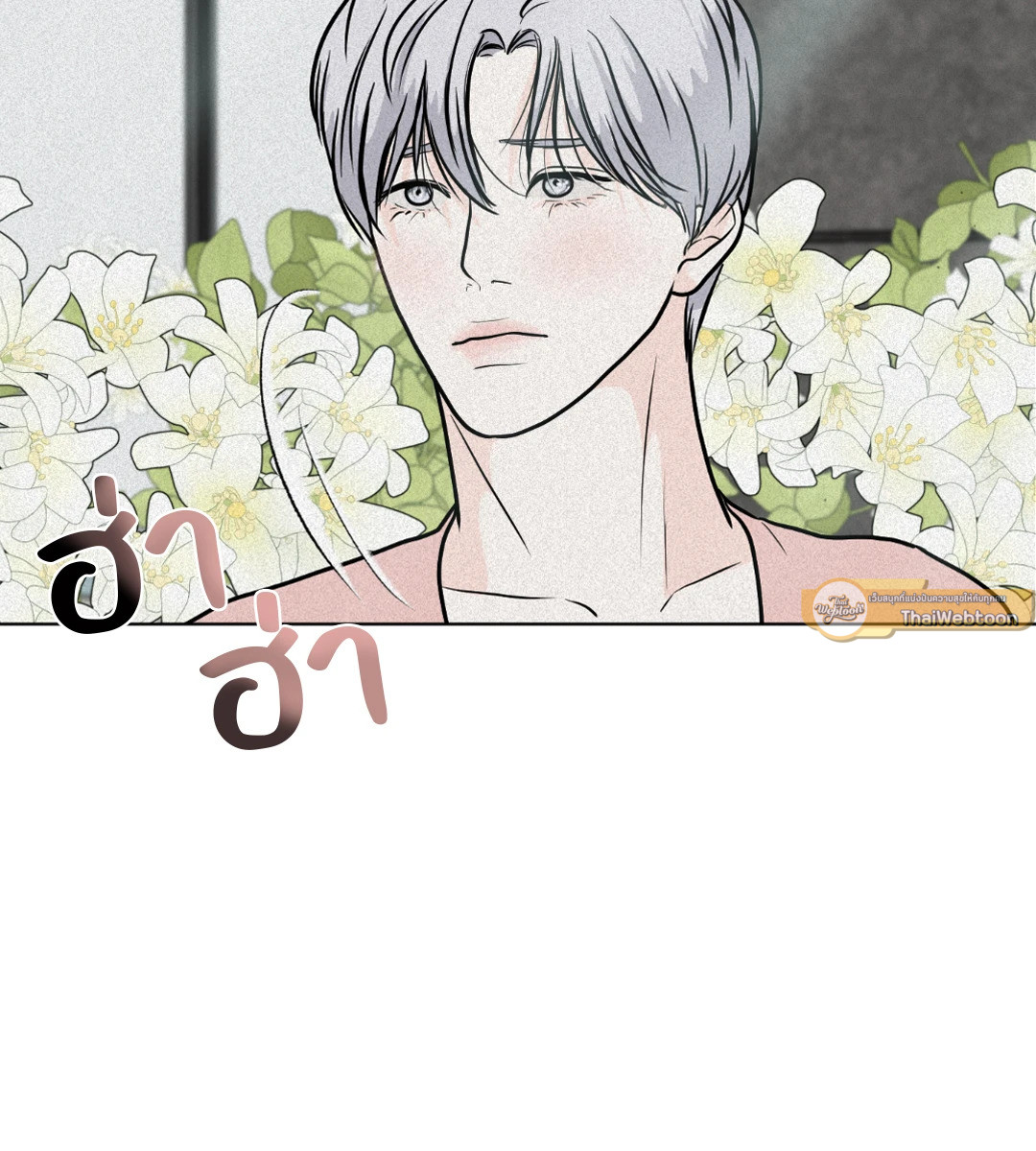 หน้า 44