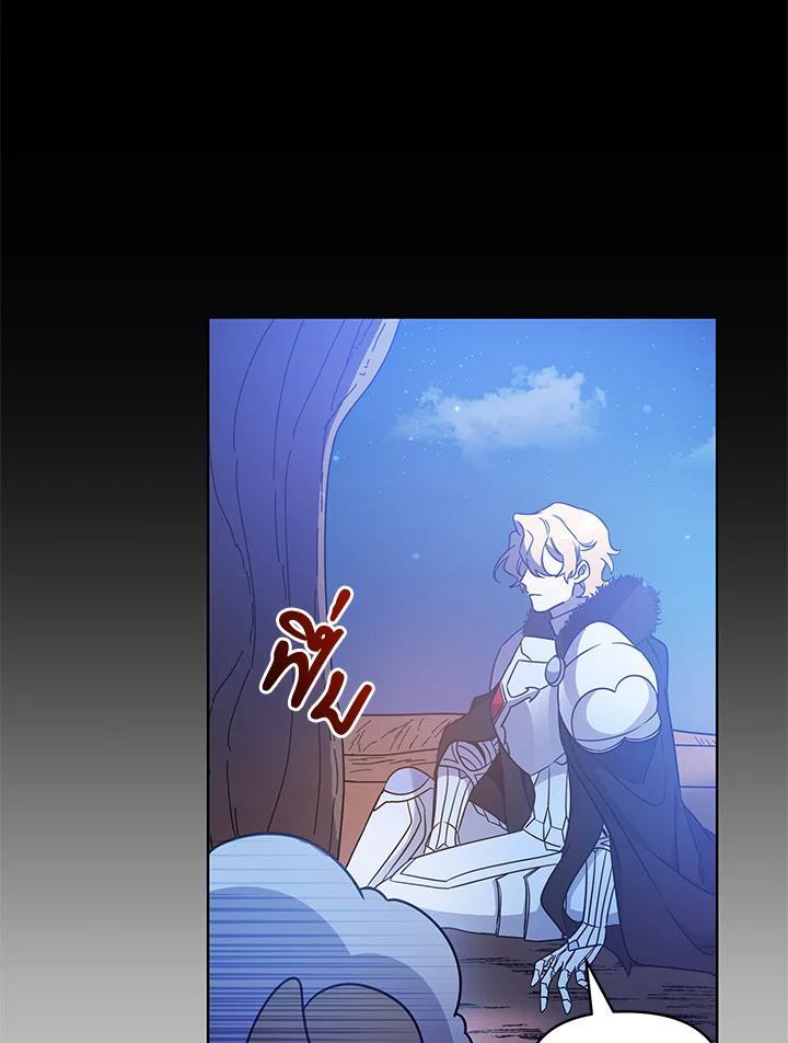หน้า 113