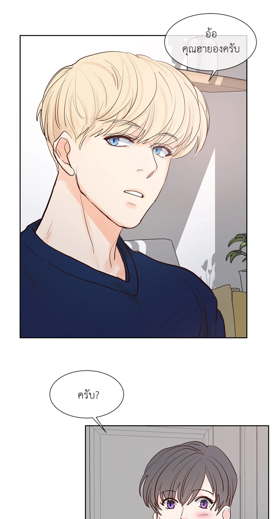 หน้า 41