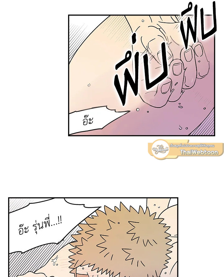 หน้า 43