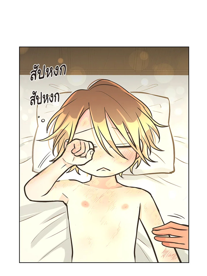 หน้า 41