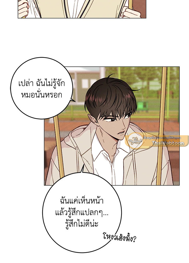 หน้า 41
