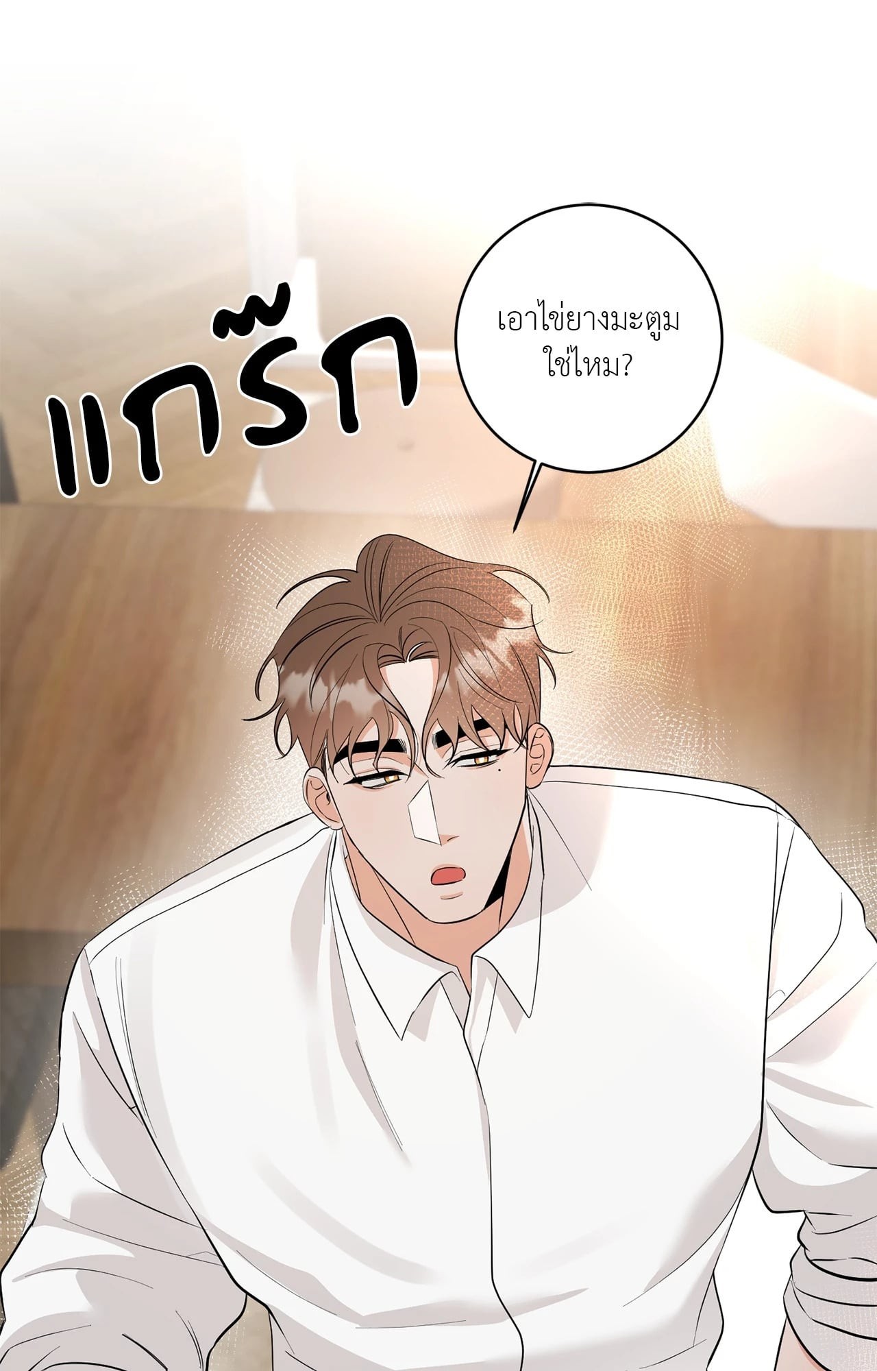 หน้า 43