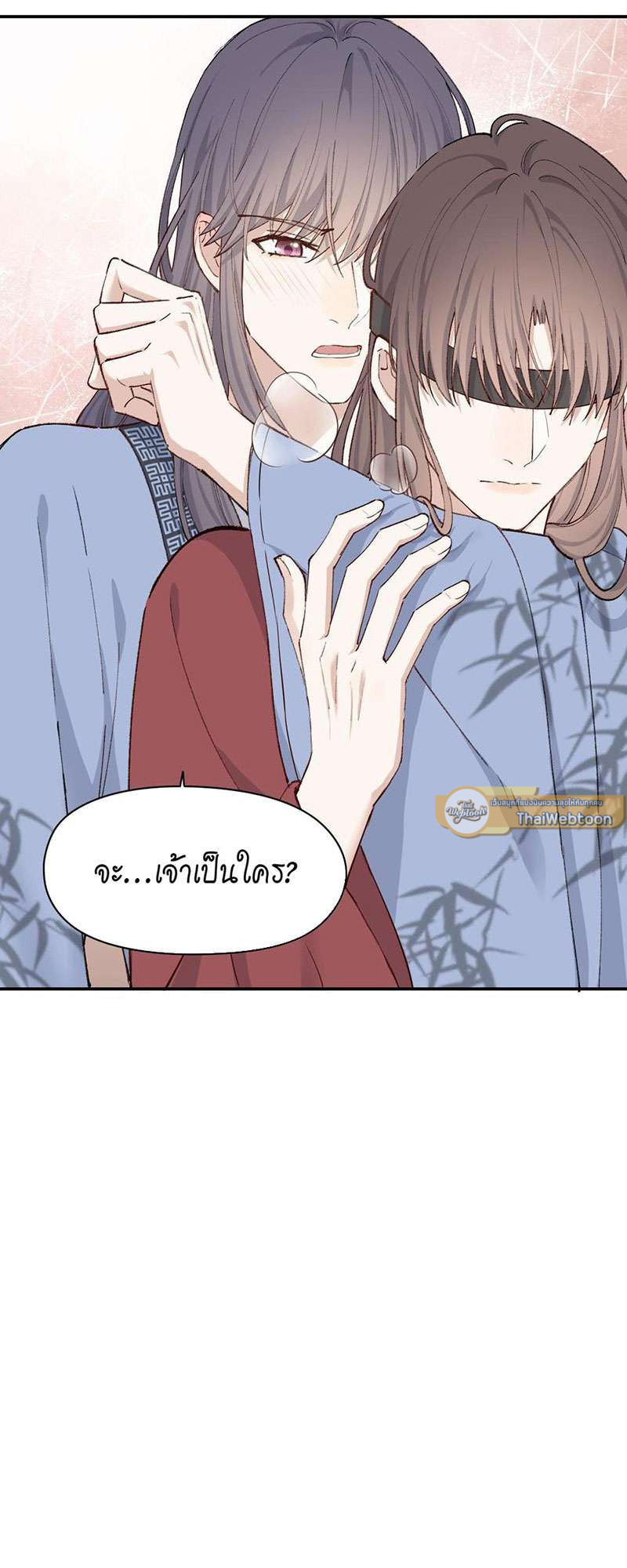 หน้า 29