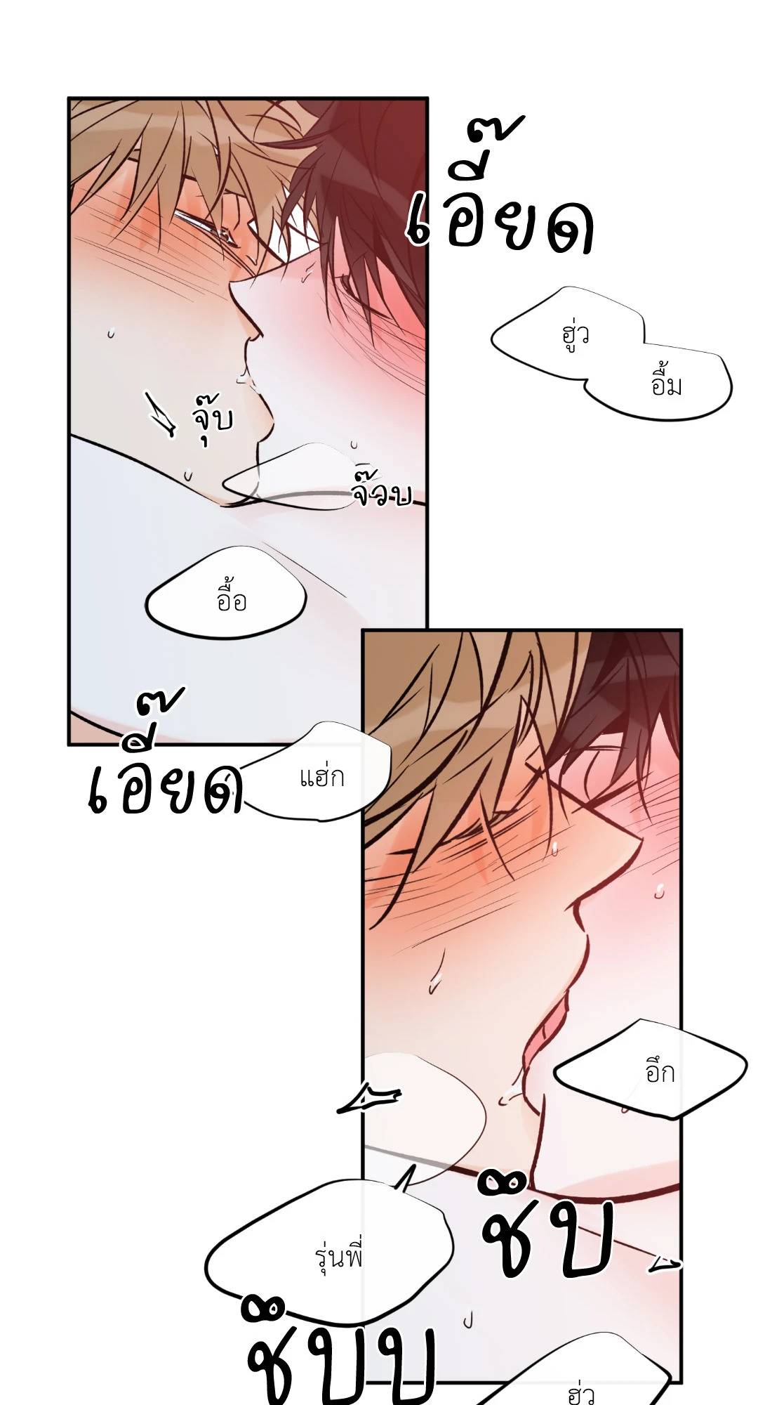 หน้า 29