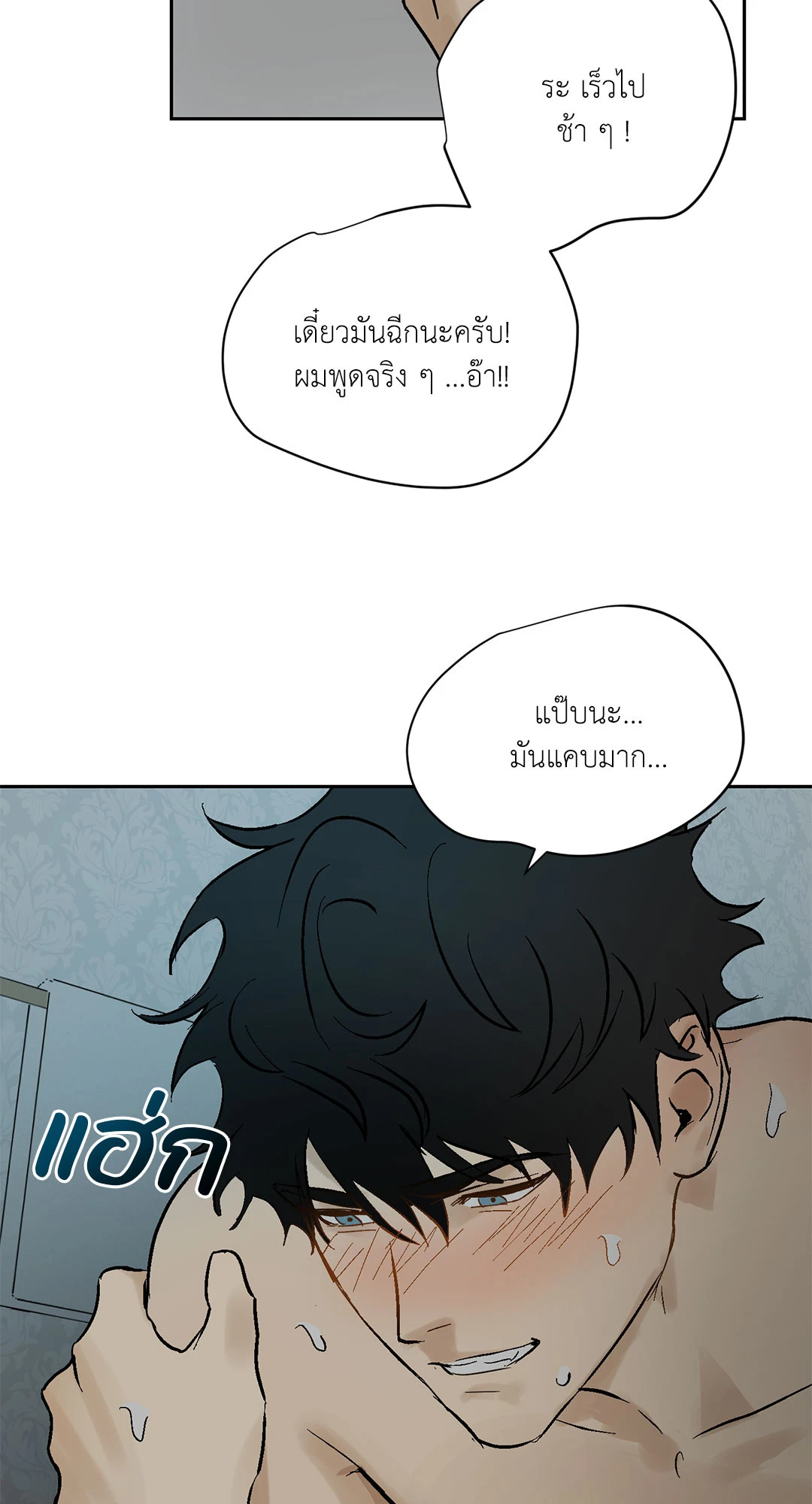 หน้า 41