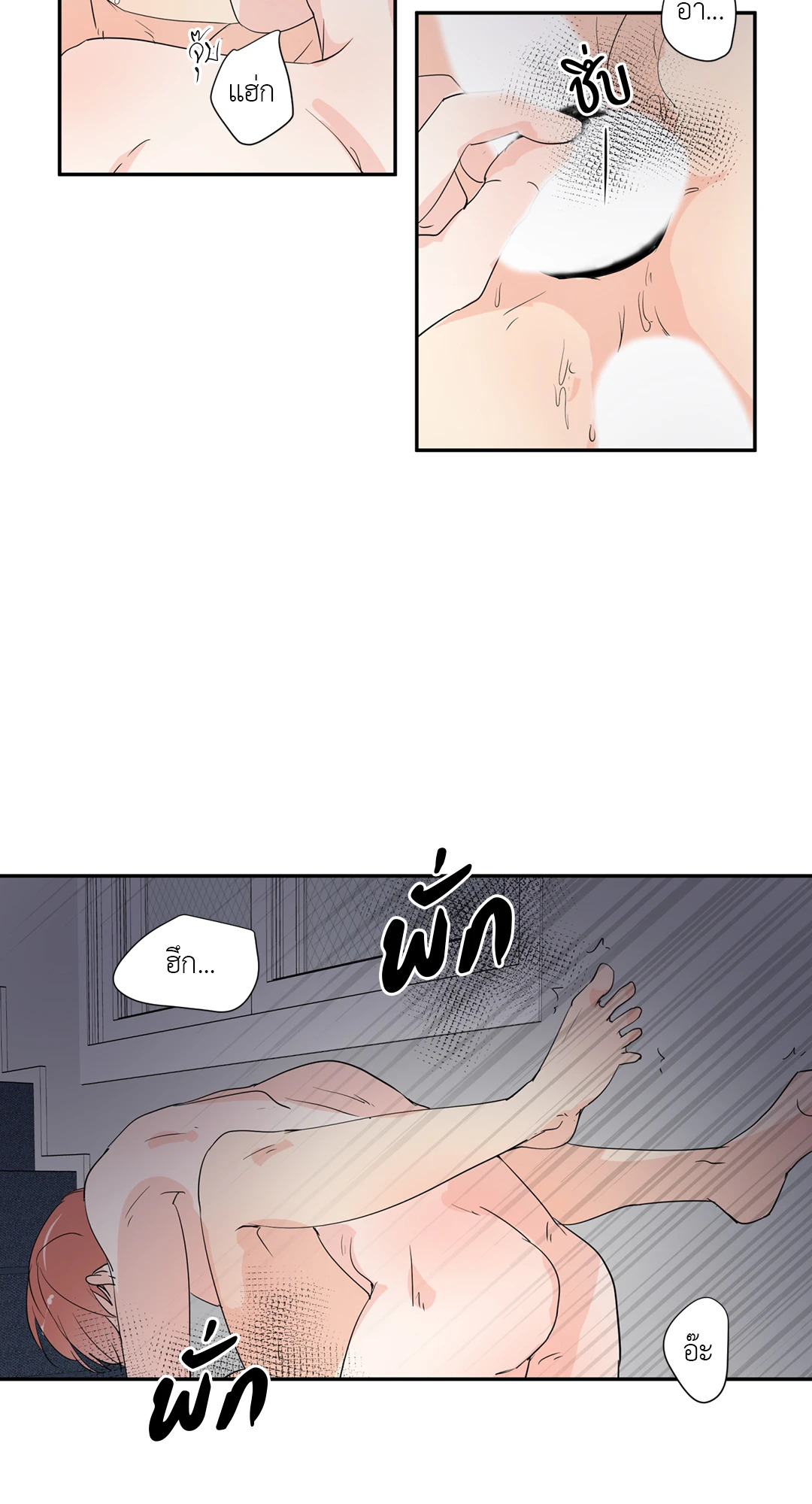 หน้า 43