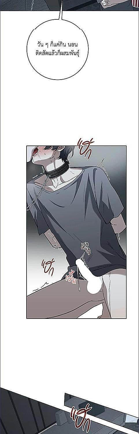 หน้า 34