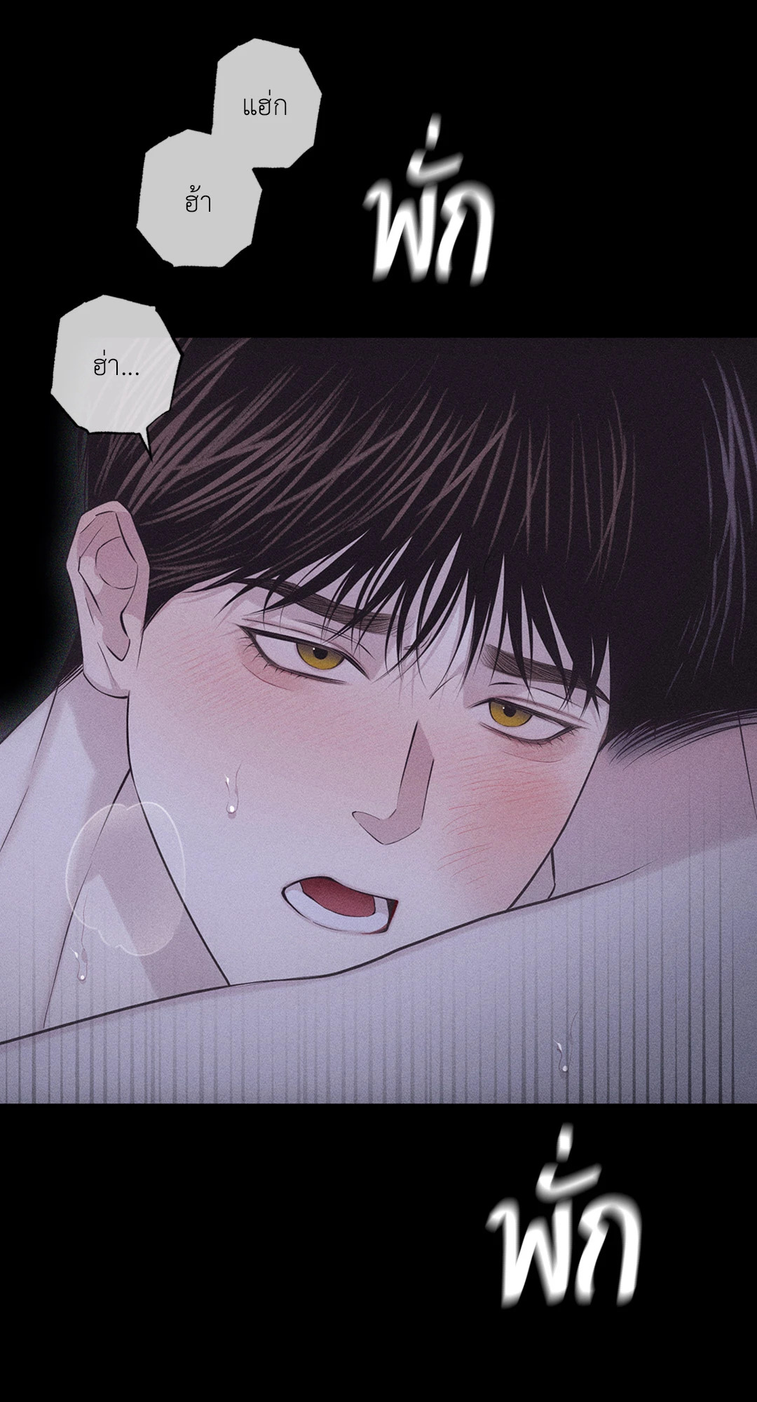 หน้า 50