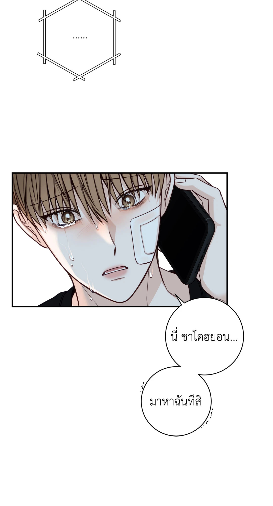 หน้า 41