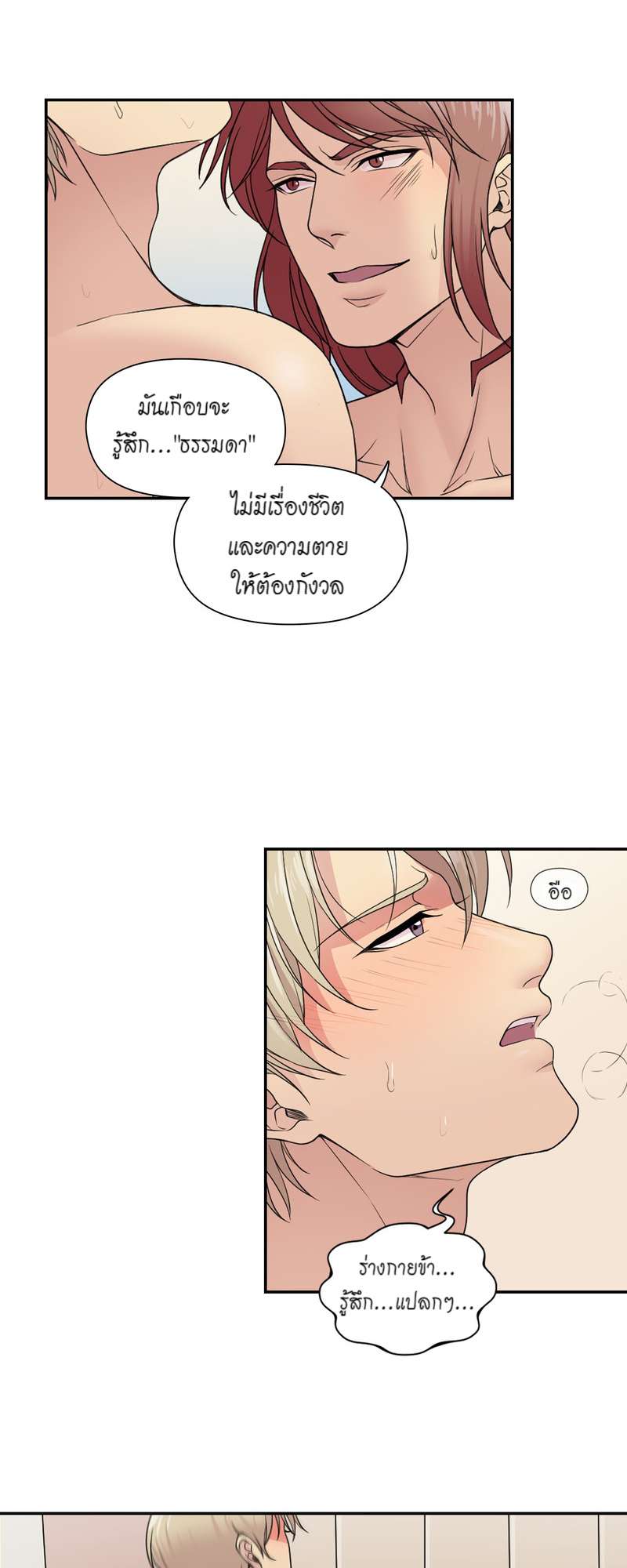 หน้า 29