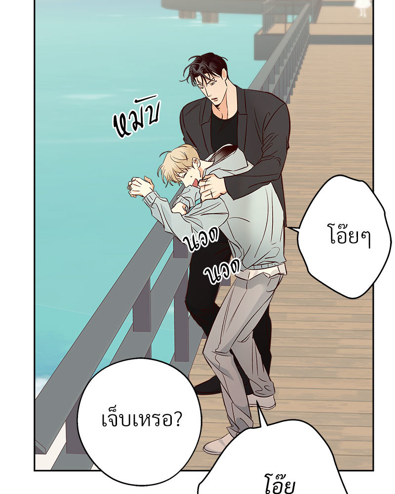 หน้า 46