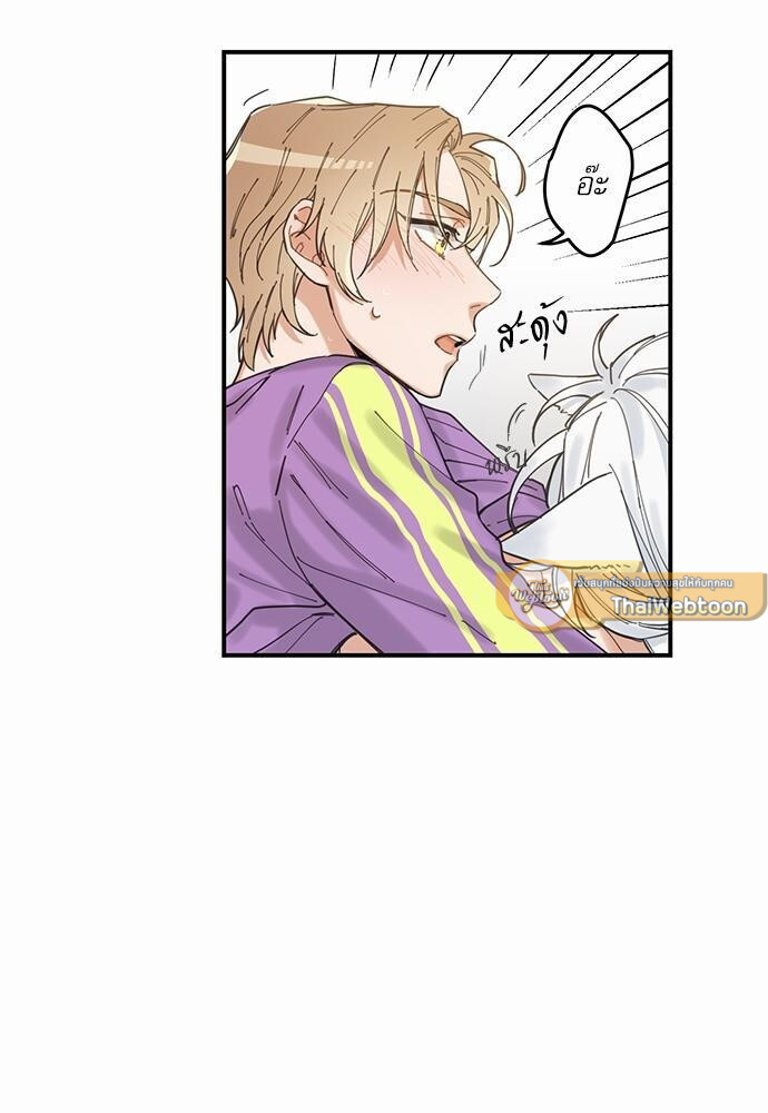 หน้า 43